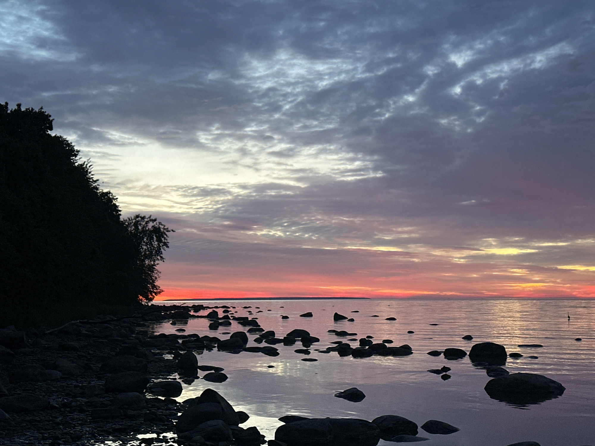 This is a photograph of a sunset over the Baltic Sea, likely taken from the coast of Tallinn, Estonia. The sky is filled with dramatic clouds, painted with hues of deep blue, purple, and vibrant pink and orange near the horizon. The water is calm, reflecting the colors of the sky and the dark silhouettes of numerous rocks scattered along the shoreline and in the water. On the left side of the image, a dense line of dark trees forms a silhouetted embankment. The overall mood is serene and peaceful. There are no people or animals visible in the frame.