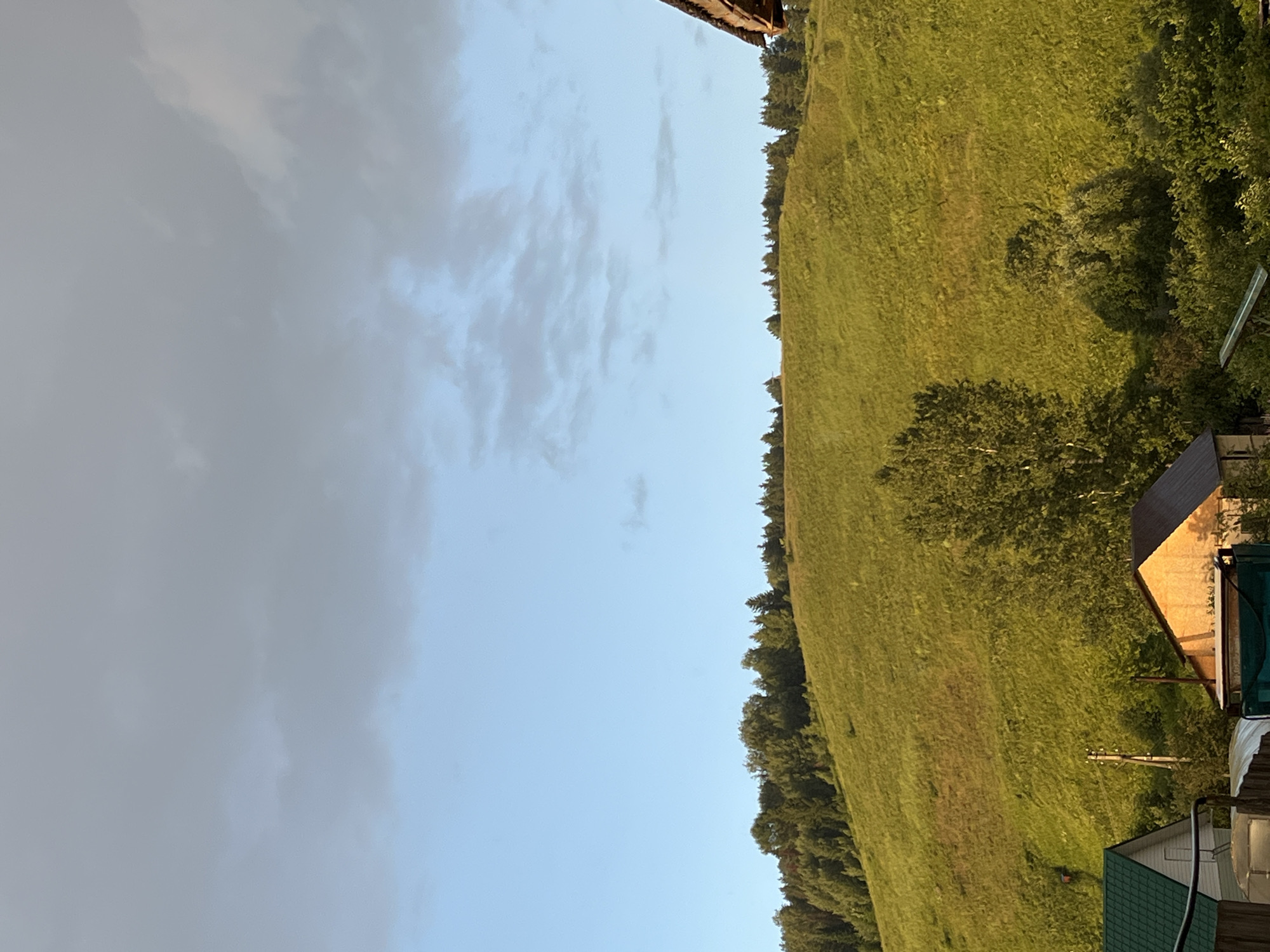 This is a vertical, wide-angle photograph of a rural landscape in Olkhovka, Russia. The scene is divided into two main sections by the horizon line, which runs diagonally from the bottom left to the top right.
The left side of the image is dominated by a pale blue sky filled with soft, wispy clouds that appear white and grey. The lighting suggests it is either early morning or late afternoon.
The right side of the frame features a lush, green hillside covered in grass, sloping upwards and away from the viewer. The grass appears long and somewhat unkempt, with patches of lighter and darker green suggesting uneven terrain or shadows. A dense line of dark green trees forms a border along the base of the hill and extends up its side.
In the foreground and extending along the right edge of the hillside are glimpses of man-made structures. A dark-colored roof of a building is visible at the bottom right, with a section of a cream-colored wall next to it. Further up the hill, there are more scattered buildings and what appear to be power lines. The overall impression is one of a serene, natural setting with human habitation integrated into the landscape. The light on the hillside is warm, indicating the sun is low in the sky. No people or specific activities are discernible.