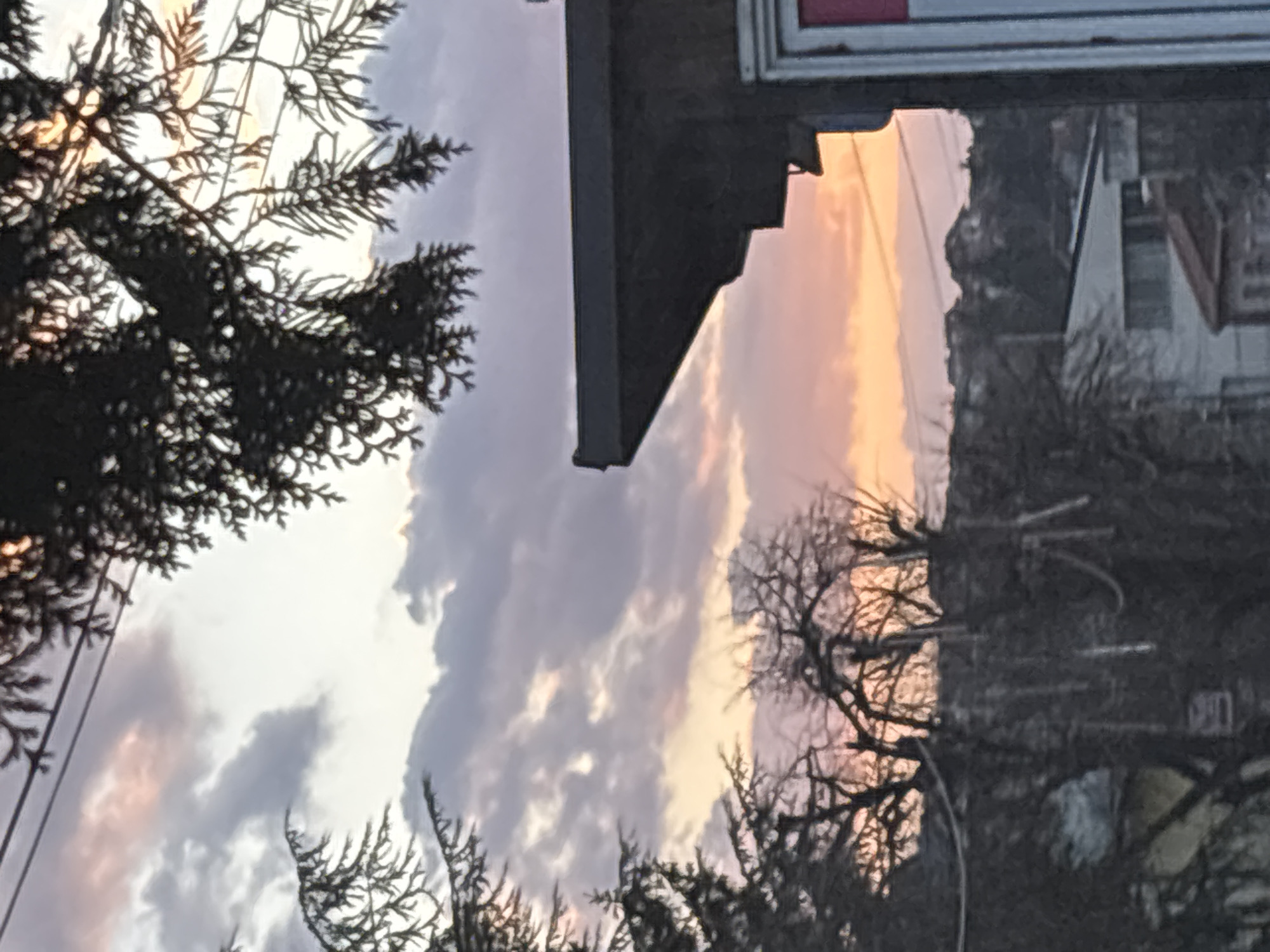 The image captures a sunset view framed by the silhouette of coniferous trees and a building. The sky is a blend of soft pink, orange, and gray hues, indicating twilight. Power lines are visible amidst the branches of the trees. A portion of a building is seen in the upper part of the frame, with reflections suggesting it's a window or glass surface. The building's facade and roofline are somewhat visible in the reflection. Without additional context or information available in the image, it is not possible to accurately assess the scene.