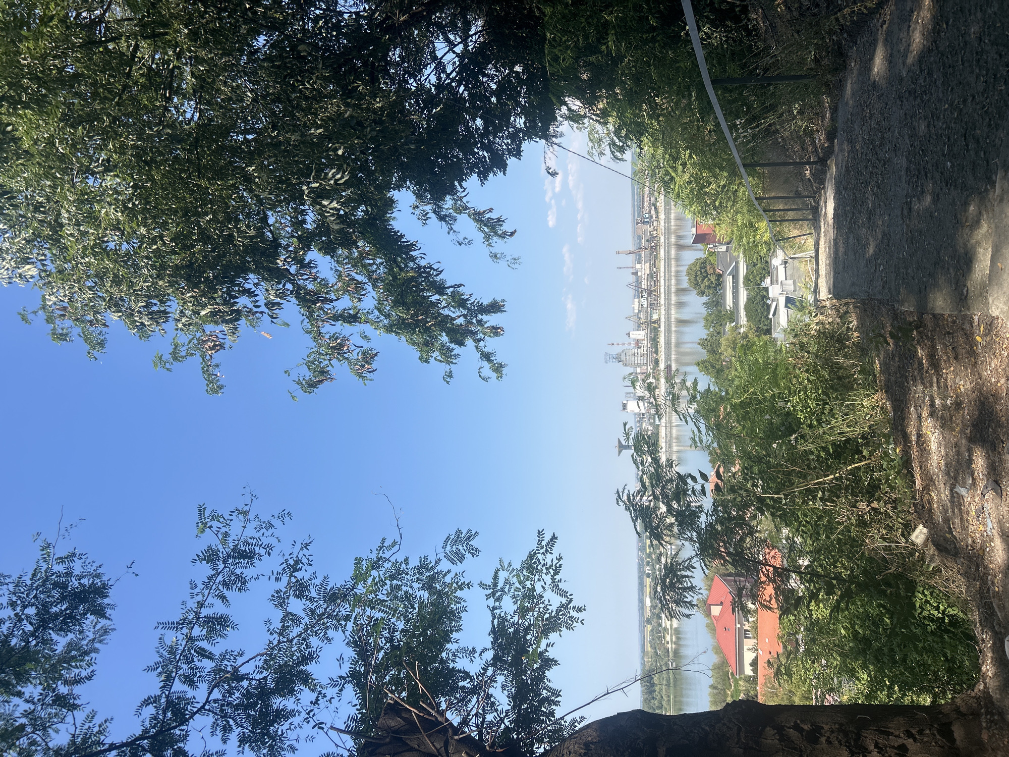 The image shows a downward-sloping concrete path with a metal handrail on the right side, leading through overgrown vegetation. The path is partially shaded by trees. In the background, across a body of water, a cityscape is visible with industrial buildings, cranes, and water towers. The sky is clear and blue. This scene is located in the city of Nikopol, Bulgaria, on a hillside overlooking the Danube River. The vantage point suggests the photo was taken from a park or natural area above the riverfront.