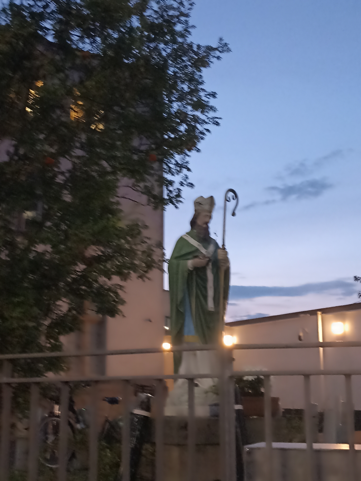A statue of a man wearing a green robe and a miter hat, holding a crook, stands outside at dusk. The statue is in the foreground, with a blurry tree and building behind it. The sky is a pale blue with some clouds. The statue is in the city of Galway, Ireland.