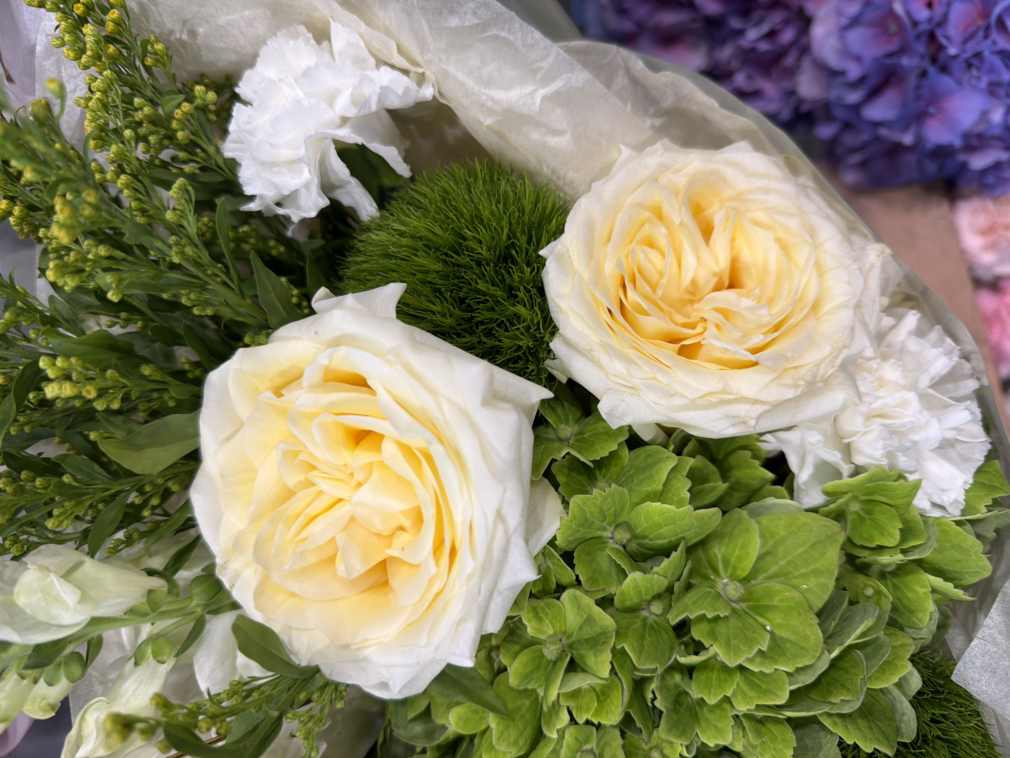 This is a close-up, overhead shot of a floral arrangement featuring two pale yellow roses as the focal points. The roses are characterized by their layered petals and soft, warm hue, with the top rose being larger and more fully open than the one positioned below it. Surrounding the roses are various other floral elements. To the left of the lower rose, a cluster of vibrant green hydrangeas adds a contrasting texture and color. To the right and behind the top rose, a fluffy white carnation adds a delicate, ruffled detail. Above the roses, a spray of delicate greenery with small, budding flowers adds height and volume to the composition. A fuzzy, green spherical bloom, possibly a pincushion protea or similar, is nestled between the roses. The arrangement is partially wrapped in white tissue paper, which adds a soft, diffused background. In the blurry background, hints of purple and pink flowers are visible, suggesting a larger floral display or market setting. The lighting is soft and natural, highlighting the textures and colors of the flowers.