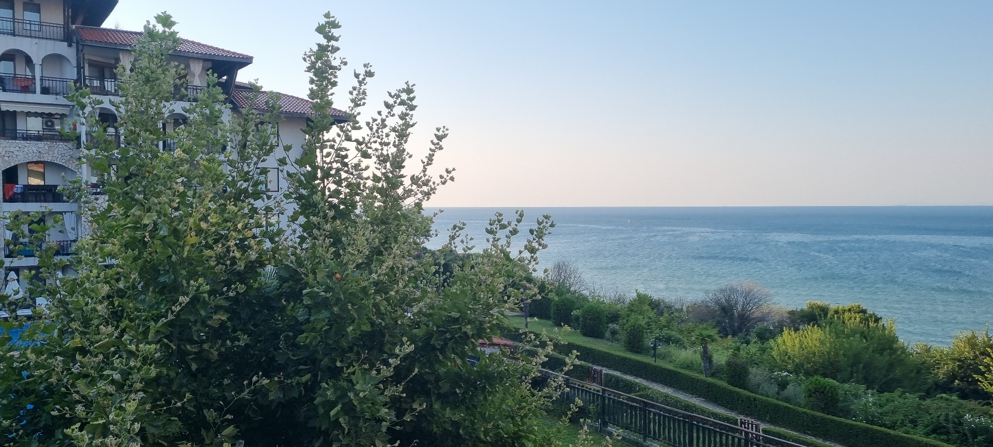 The image depicts a view from a balcony or elevated position overlooking the Black Sea in Sveti Vlas, Bulgaria. In the foreground, a large leafy tree with light green foliage partially obscures the view. To the left, a white multi-story building with red-tiled roofs and balconies is visible. The building has arched windows and balconies with railings, and laundry is visible on some of the balconies. The middle ground features a well-maintained green slope with manicured bushes and trees, a paved pathway, and a dark wooden fence. The background is dominated by the vast expanse of the blue Black Sea under a clear, pale blue sky. The horizon is sharply defined, with a hint of land faintly visible in the far distance. The scene appears to be captured during daylight, possibly early morning or late afternoon, given the soft lighting. No people are present in the image.