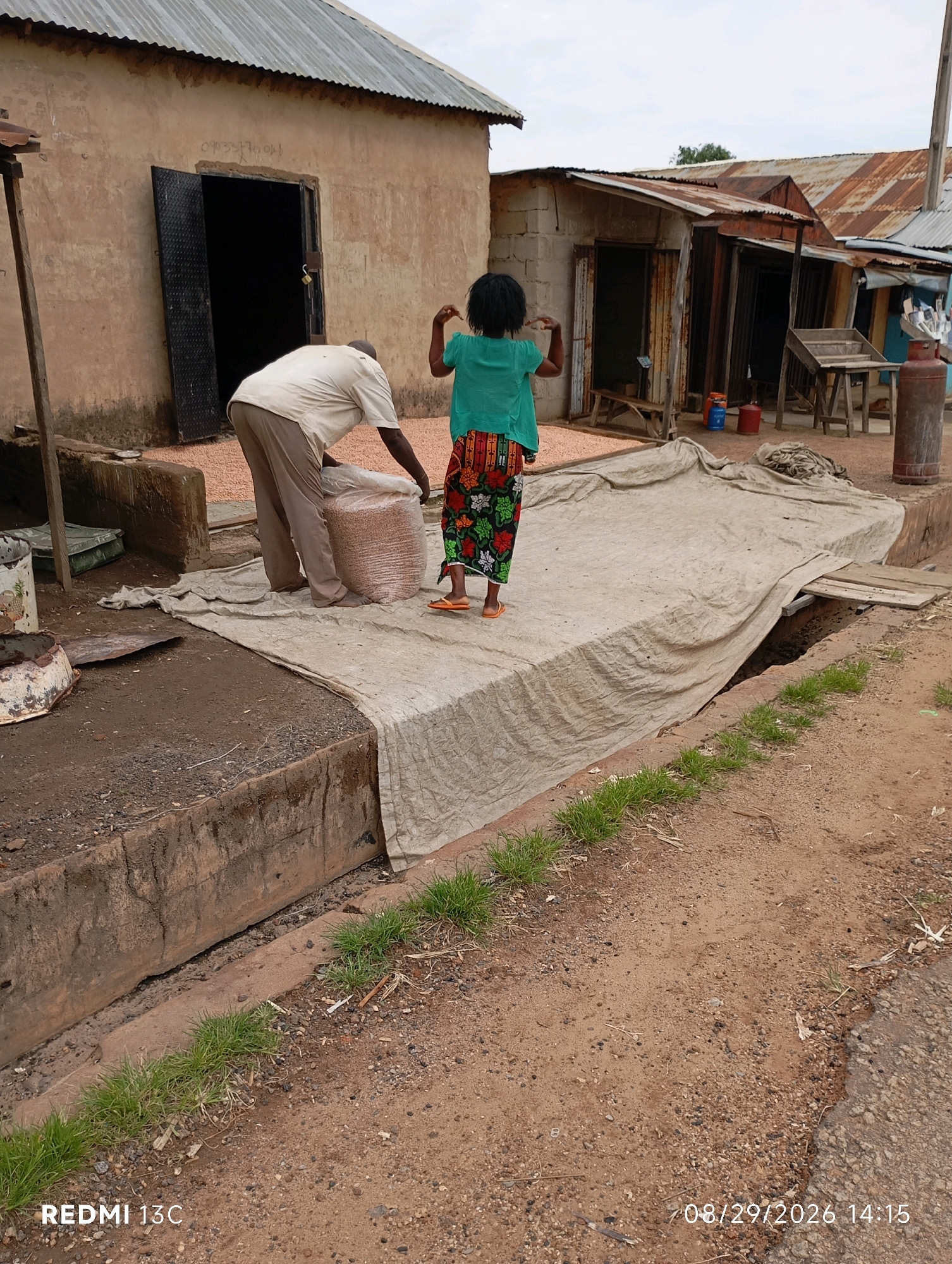 In Shendam, Nigeria, a man in a light-colored shirt and brown pants is seen lifting a large, clear plastic bag filled with small, light-brown grains. He is standing on a dirt ground, partially covered by a large piece of tan tarp. Next to him, a child wearing a bright green top and a colorful floral skirt is facing away from the camera, with their arms raised. In the background, there are several buildings with corrugated metal roofs, some appearing weathered and rusty. One building has a large, open doorway with a dark interior. There are also gas cylinders and wooden structures visible. The environment appears to be an outdoor market or storage area, with dirt roads and scattered debris. A concrete drainage ditch runs along the left side of the frame, with some green grass growing along its edge. The image is dated 08/29/2026 14:15.