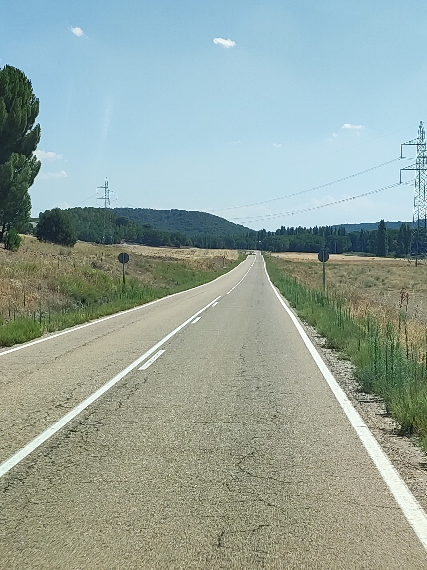 The image shows a view of a rural road in Santibáñez de Valcorba, Spain, on a clear day. The road stretches into the distance, bordered by dry, golden grass and green vegetation on either side. A large, mature tree stands to the left, and further back, a line of dense green trees forms a backdrop against rolling hills. High-voltage power lines and pylons are visible, indicating infrastructure in the area. The road is asphalt with white lane markings. Two circular traffic signs on posts are visible along the side of the road. The sky is blue with a few small white clouds.