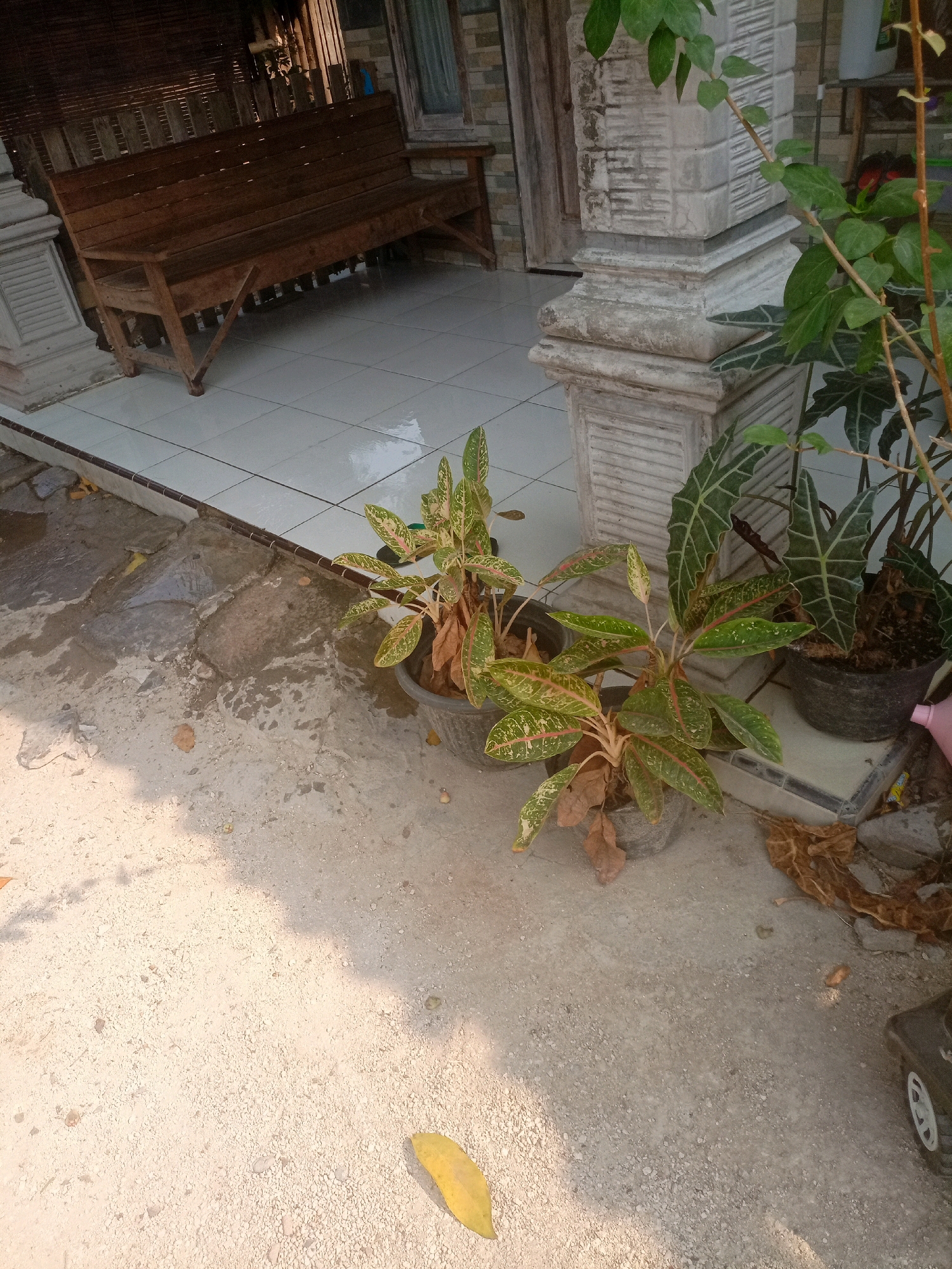 The image depicts an outdoor scene in Sumurtawang, Indonesia, in front of a building with a tiled floor and a wooden bench. Two potted plants are visible, one with variegated green and yellow leaves, and another larger plant with dark green, broad leaves and distinctive white vein patterns. A concrete pillar with textured detailing stands to the right of the bench, partially obscuring the plants. The ground is a mix of concrete and gravel, with some fallen leaves scattered around. A portion of a small, dark-colored toy car with white wheels is visible in the lower right corner of the frame. The lighting suggests it is daytime, with shadows cast on the ground.