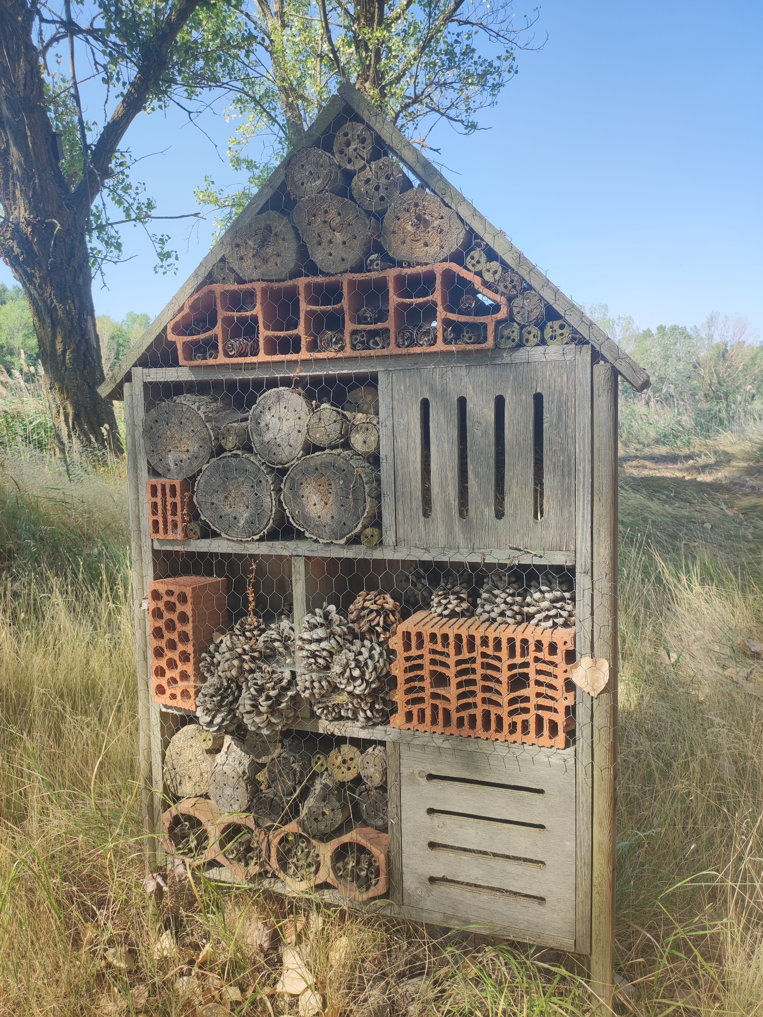 This image depicts a solitary, multi-compartment insect hotel constructed from wood, wire mesh, logs, pinecones, and brick. The hotel is situated outdoors in a grassy area with a tree to the left and a wooded landscape in the background. The sky is clear and blue. The insect hotel is designed to provide shelter for various insects and features different materials such as hollowed-out logs, drilled wood sections, and terracotta bricks with holes. The structure is approximately human-sized. The location is the city of Abarca De Campos, Spain.