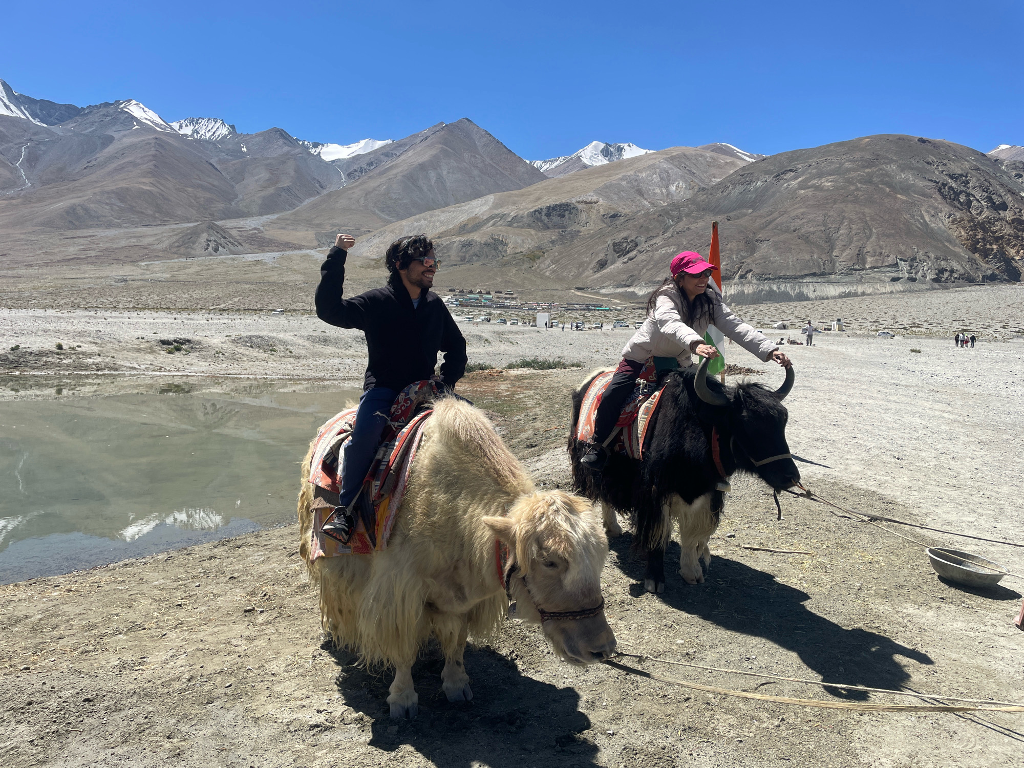 In a mountainous, arid landscape under a clear blue sky, two people are riding yaks. In the foreground, a person with dark, curly hair and sunglasses, wearing a black hoodie, rides a shaggy, light-colored yak. This person is raising their right fist in the air and appears to be smiling. The yak is adorned with a colorful saddle pad. Behind them, to the right, a person wearing a pink hat and a light-colored jacket rides a black yak, also with a saddle pad. This person is looking to their left and smiling. An Indian flag is visible on a pole behind the person on the black yak. In the background, a tranquil body of water reflects the surrounding landscape. Beyond the water, a vast, rugged mountain range stretches across the horizon, with snow-capped peaks visible in the distance. The ground is dry and dusty, with scattered pebbles and sparse vegetation. Some small structures and vehicles are visible in the middle ground, suggesting a settlement or tourist area. The overall scene depicts an outdoor recreational activity in a remote, picturesque mountain region of India.