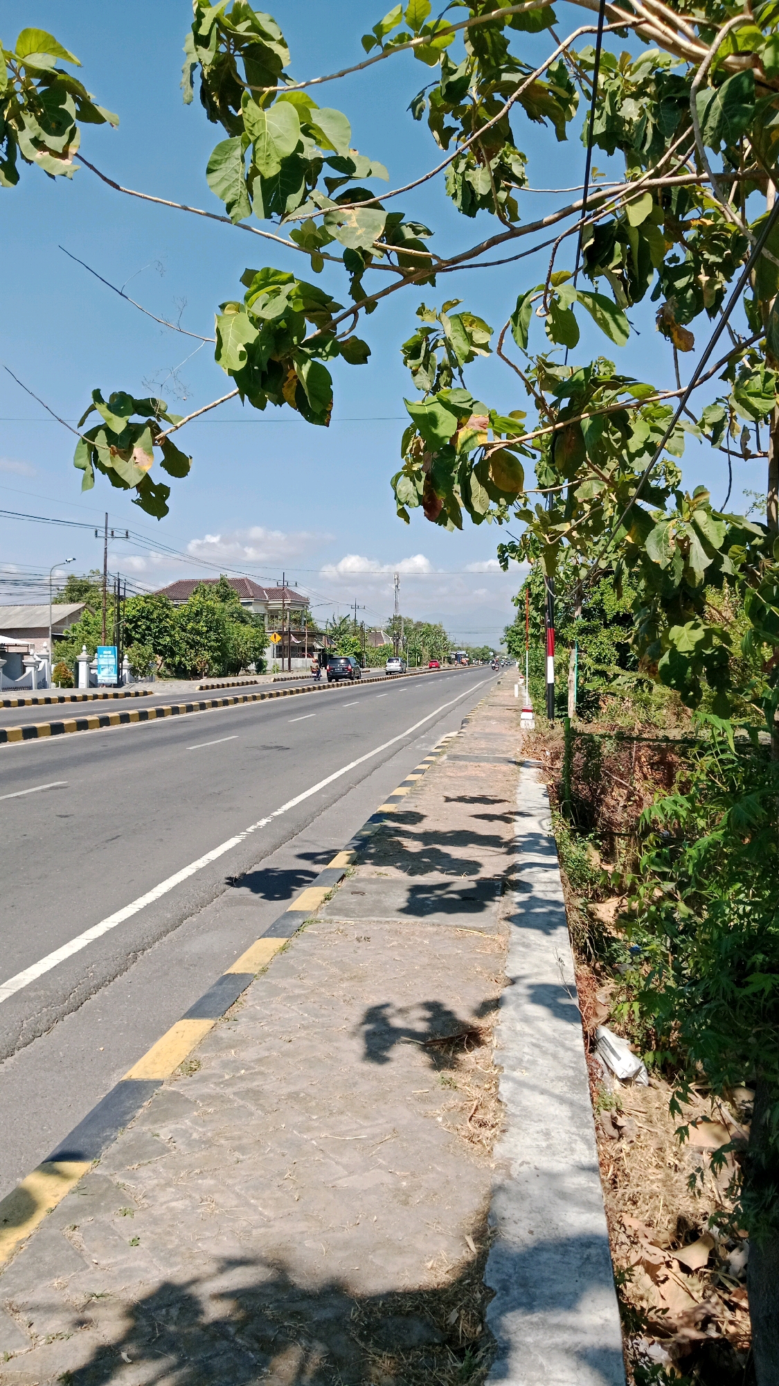 The image depicts a straight, paved road in the city of Maospati, Indonesia, with a sidewalk on the right and a tree in the foreground. The road has two lanes in each direction, separated by a white line. Yellow and black striped curbs line the edge of the road. On the left side of the road, there are houses and trees. The sidewalk is made of concrete tiles and is partially shaded by the leaves of the tree. The tree in the foreground has large green leaves and branches that extend into the frame. The sky is blue with a few scattered clouds. The scene appears to be from daytime, with bright sunlight casting shadows on the sidewalk. The overall environment suggests a semi-urban or suburban setting.