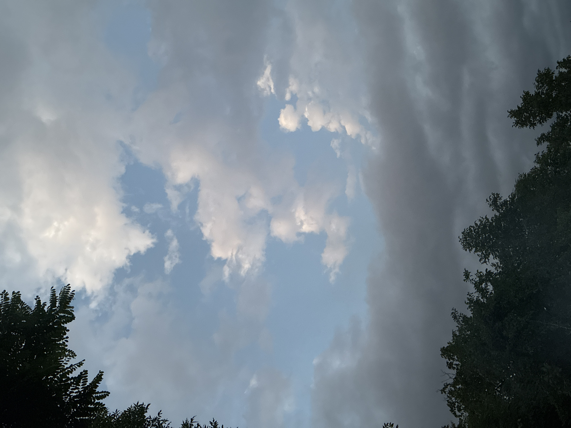 The image is a medium shot, taken from a low angle, looking up at the sky. The sky is a mixture of blue sky and clouds, with some clouds appearing white and fluffy, while others are dark and heavy. The top left and bottom of the image are filled with the dark silhouettes of trees. The location is identified as Surami, Georgia, suggesting an outdoor setting. There are no people or any discernable actions taking place. The overall impression is of a cloudy day with trees framing the view of the sky.
