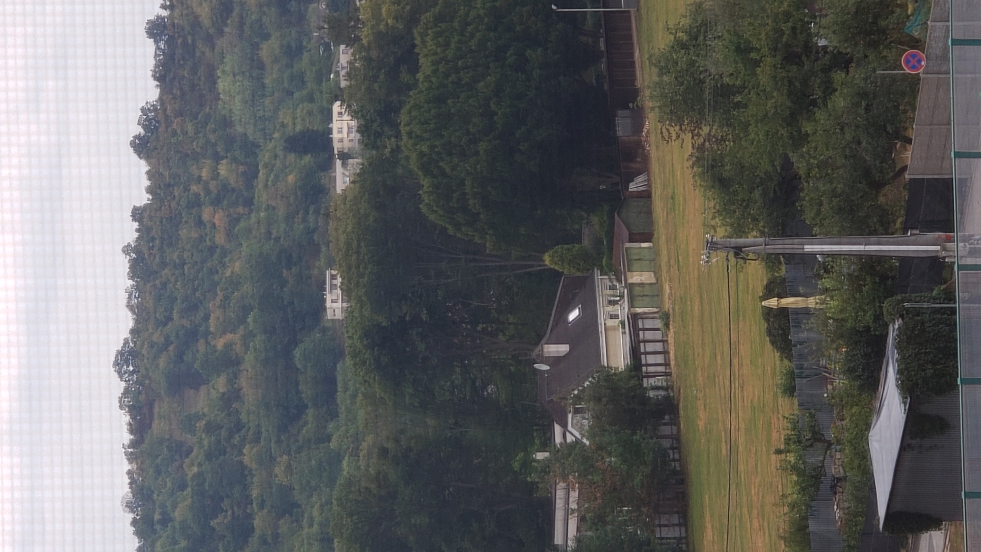 The image is a vertical, full-frame shot of a suburban landscape with a focus on vegetation and residential buildings. The scene is characterized by a densely wooded hill in the background, with several modern apartment buildings visible at the top. In the middle ground, a house with a dark roof and a dormer window is situated in front of a line of trees. Adjacent to the house are several small, shed-like structures with green doors. A grassy field stretches out in front of these buildings, with a wooden fence running along its edge. In the foreground, more trees and shrubbery are visible, along with a gray, corrugated metal shed covered in ivy. A streetlamp stands to the right of the field. The overall impression is one of a quiet, residential area on the outskirts of a city. The image was taken in Prešov, Slovakia.