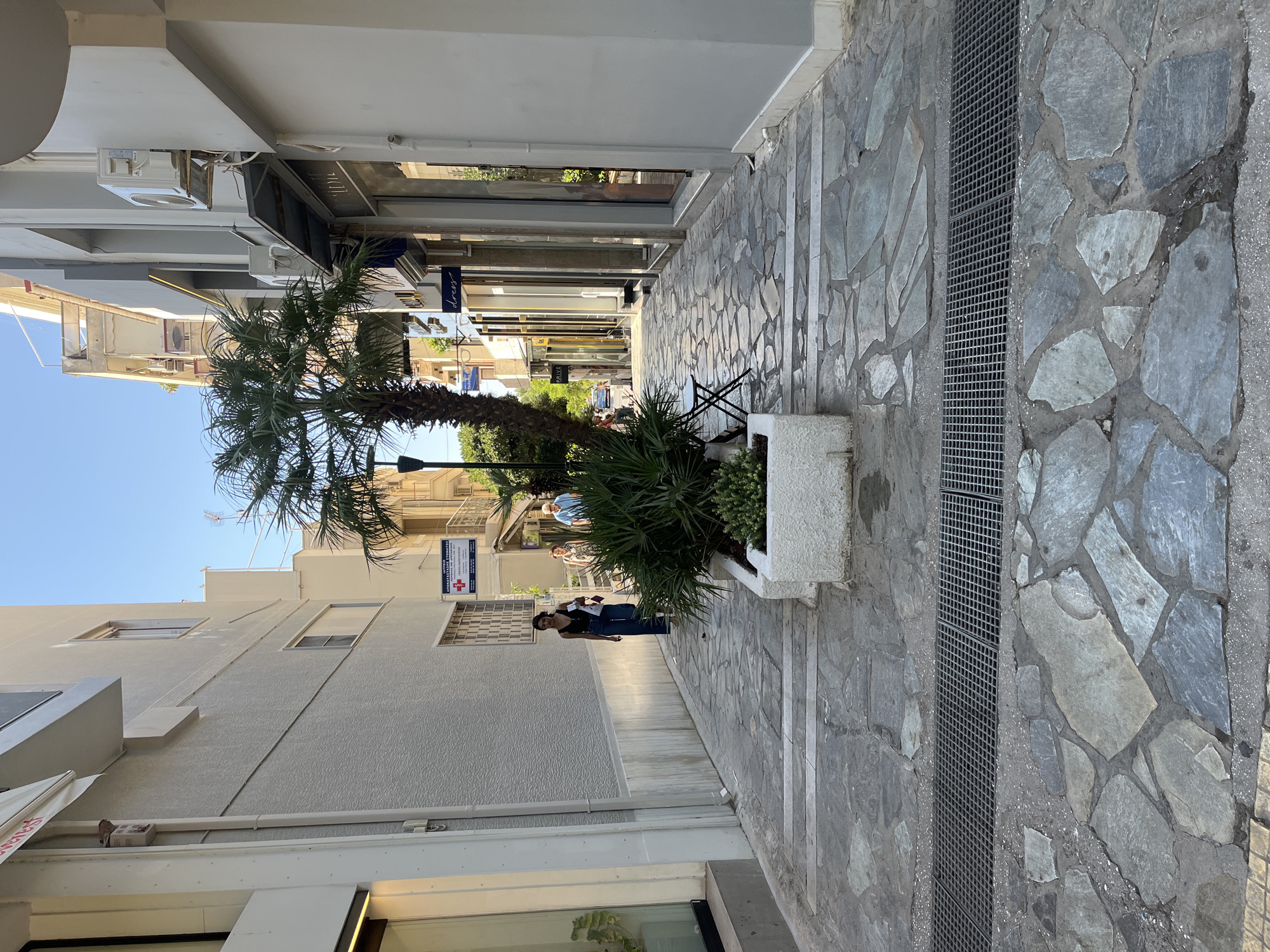 A narrow, pedestrian alleyway paved with irregular stone slabs in Nea Smirni, Greece. The alley is flanked by buildings on both sides, with shops visible on the right. A small palm tree and dense shrubbery are planted in a white planter in the center of the alley. A metal grate runs across the paving stones in the foreground, likely a drainage system. Two women and one man are visible walking away from the camera down the alley. One woman in the foreground wears dark clothing and jeans. Further down the alley, a couple walks together. The sky is clear and blue, suggesting a sunny day.