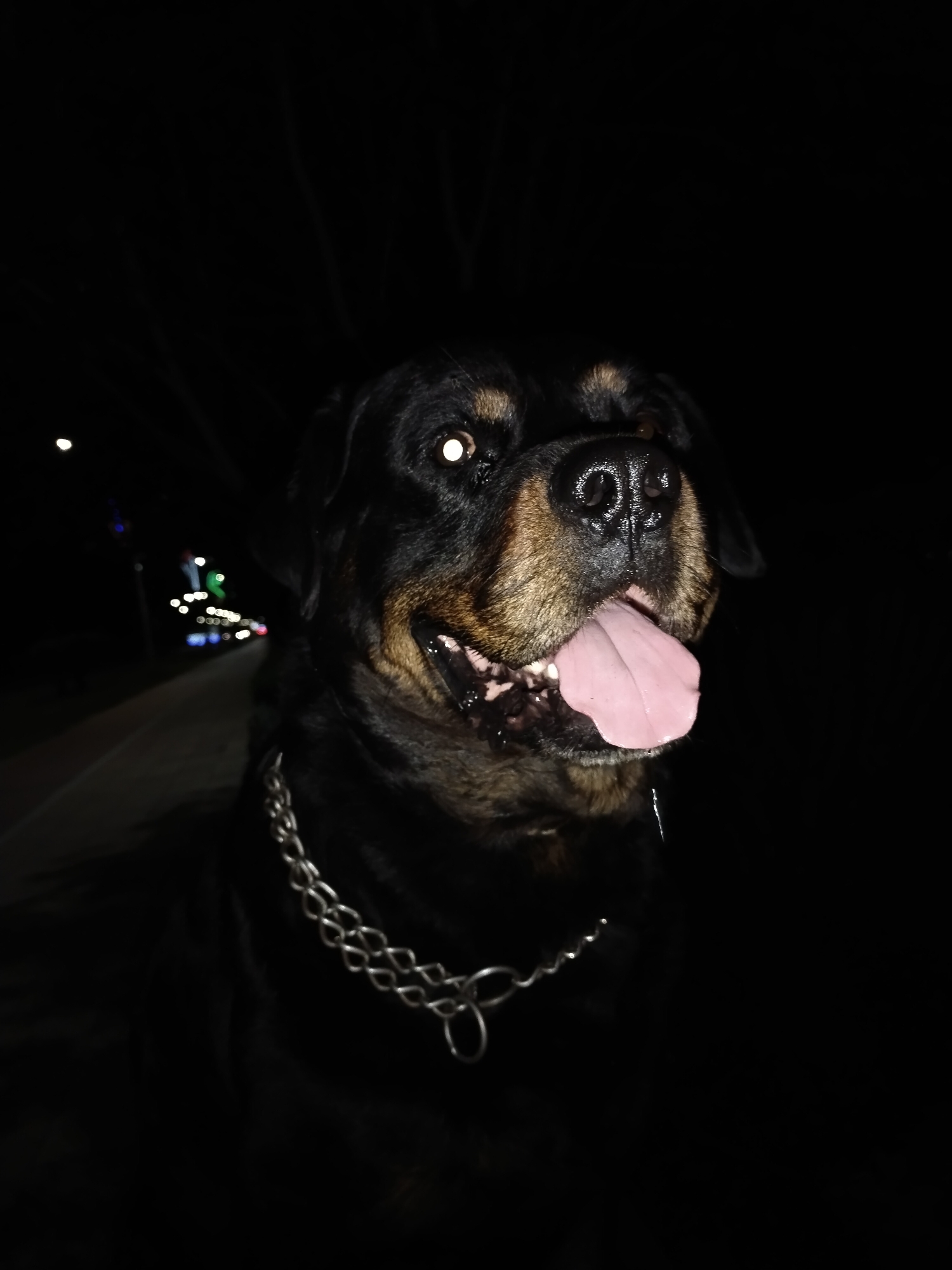 A Rottweiler dog is depicted in a medium-close-up shot at night in Horishni Plavni, Ukraine. The dog, positioned centrally and slightly to the right, has black and tan fur markings, characteristic of the breed. Its head is turned partially to the right, and its mouth is open with a pink tongue extended, indicating panting. Saliva is visible dripping from its mouth. The dog wears a silver-colored metal chain collar around its neck. Its left eye (viewer's right) exhibits a distinct, bright yellow-white retroreflection, commonly known as "eye shine" or tapetum lucidum reflection, from the camera flash. The right eye is partially obscured but also shows a similar reflection. The immediate foreground and the dog's features are illuminated by a direct light source, likely a flash, creating contrast against the dark surroundings. The background is significantly out of focus, showing blurred bokeh lights in the distance, suggestive of streetlights or vehicle lights on a road or pathway. Dominant colors in the background bokeh include white, blue, green, and red. A faint, diffuse white light source is visible on the far left mid-ground. The overall scene is dark, indicating a nighttime environment.