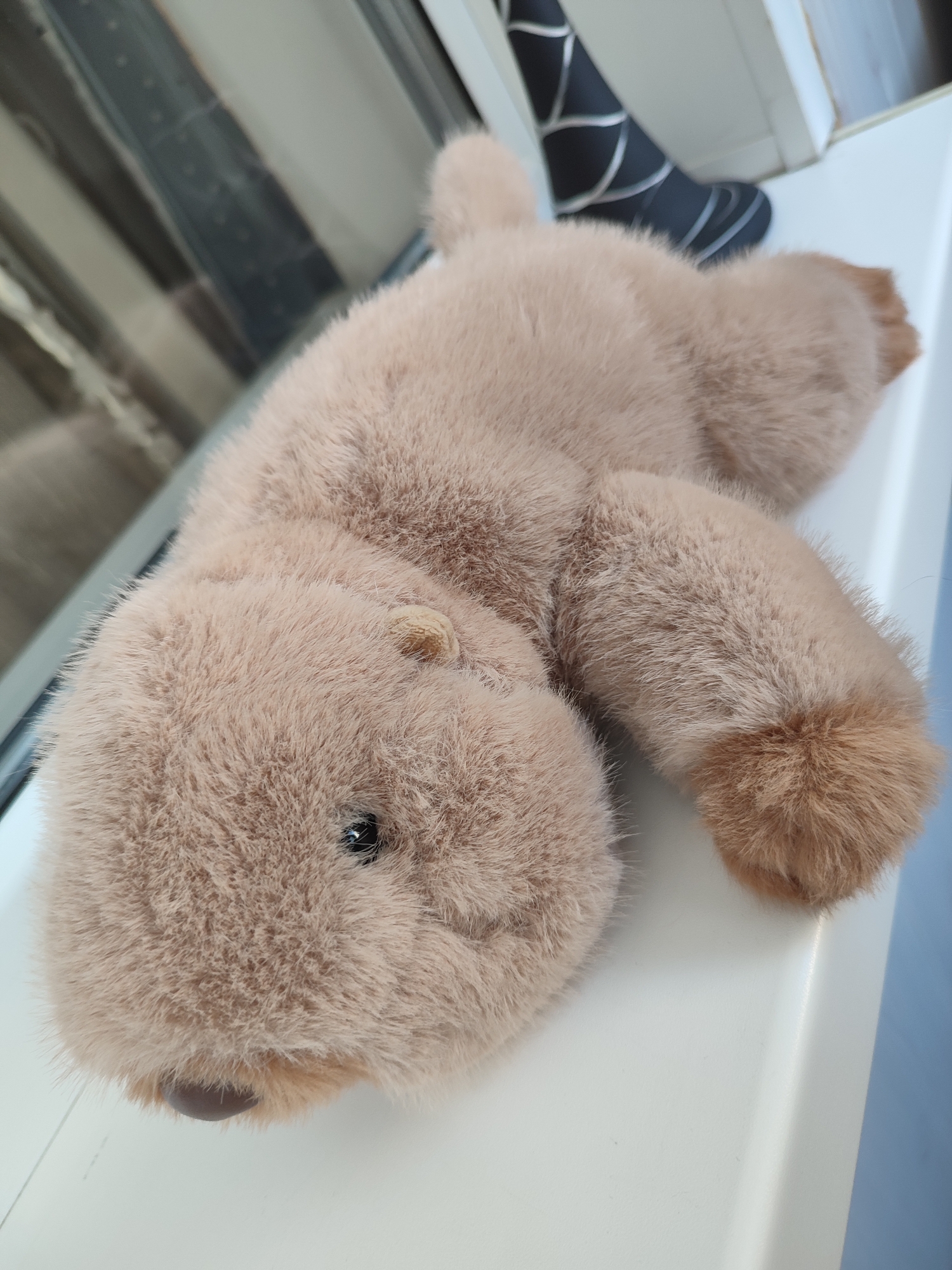 A plush toy animal, likely a beaver or otter, with light brown fur is lying on its back on a white windowsill. The toy has a round head with a dark eye and a small, dark brown nose. Its body is elongated, and its paws are visible. In the background, a black object with silver stripes, possibly a shoe or a boot, is partially visible. The window behind the toy reflects a blurred indoor environment with vertical blinds. The scene is indoors, with natural light coming from the window. The specific location in the city of Voronezh, Russia, cannot be determined from the image alone.