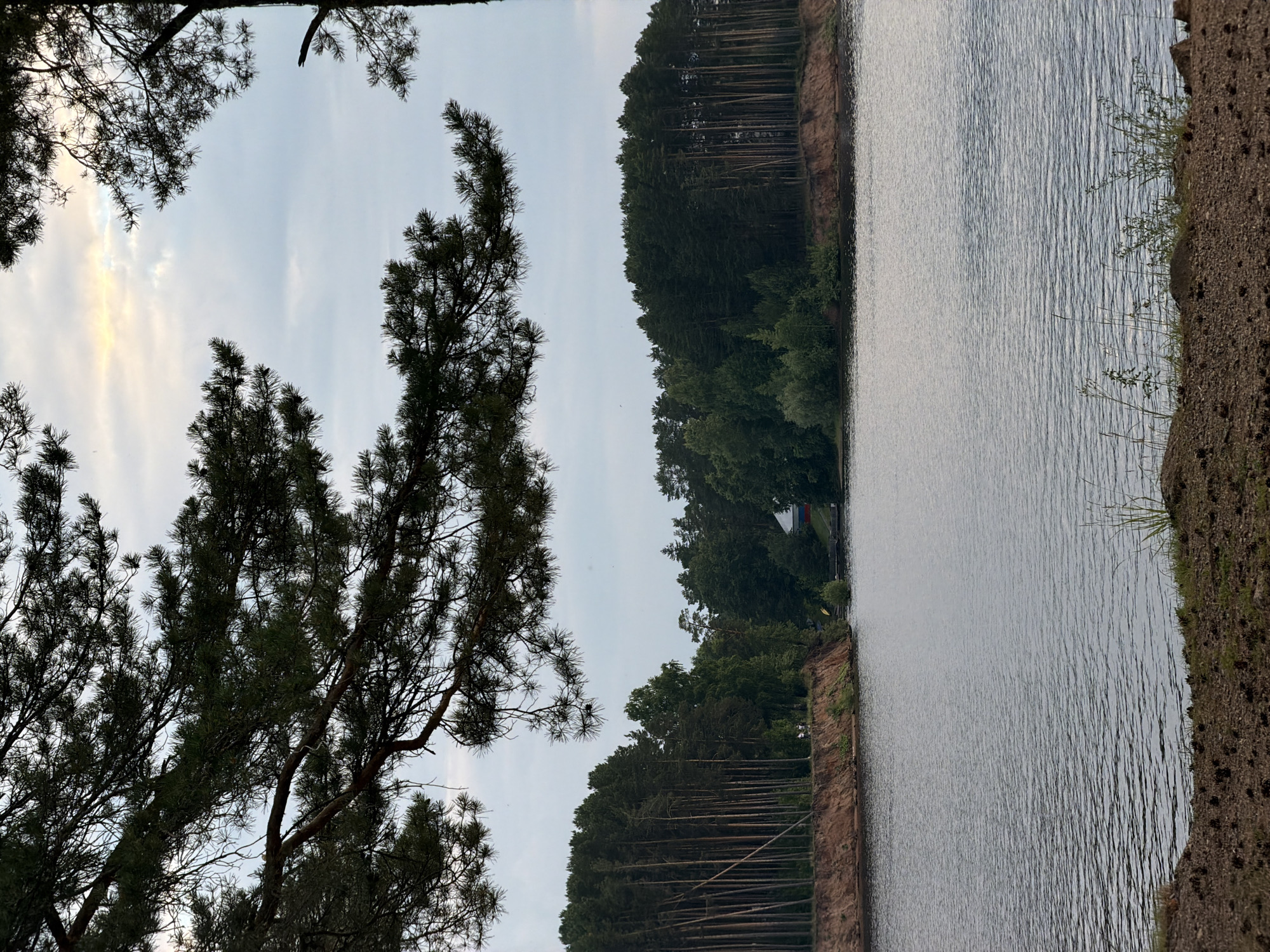 The image depicts a serene natural landscape with a body of water in the foreground, likely a reservoir or river, bordered by a sandy embankment and a dense forest. The water's surface is rippled, reflecting the overcast sky. Pine trees, with their characteristic needles and branches, frame the scene from the top. The forest, composed of a mix of tall, slender pines and broader deciduous trees, covers the far bank of the water body. A small building, appearing to be a house or dacha, is partially visible amidst the trees on the right side of the frame. The ground in the immediate foreground is covered with soil, small stones, and pinecones, with sparse grass and weeds growing. The overall atmosphere is calm and tranquil, suggesting a natural recreational area. This scene is consistent with the appearance of the Kama River reservoir in Chaikovsky, Russia, known for its picturesque shores and forested surroundings.