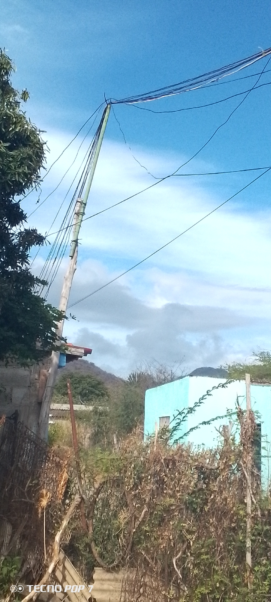 The image shows an outdoor scene in Altagracia, Venezuela, featuring a makeshift utility pole constructed from what appears to be wooden or bamboo sections held together with green ties. The pole supports a bundle of electrical or communication wires running across the top. To the left of the pole is a tree with green foliage, and a portion of a building with a red roof is visible. In the background, there are trees, bushes, and what seems to be a mountain range. In the foreground, a fence and overgrown vegetation obscure a small blue building. The sky is blue with scattered clouds. The scene has a somewhat dilapidated or rural feel.
