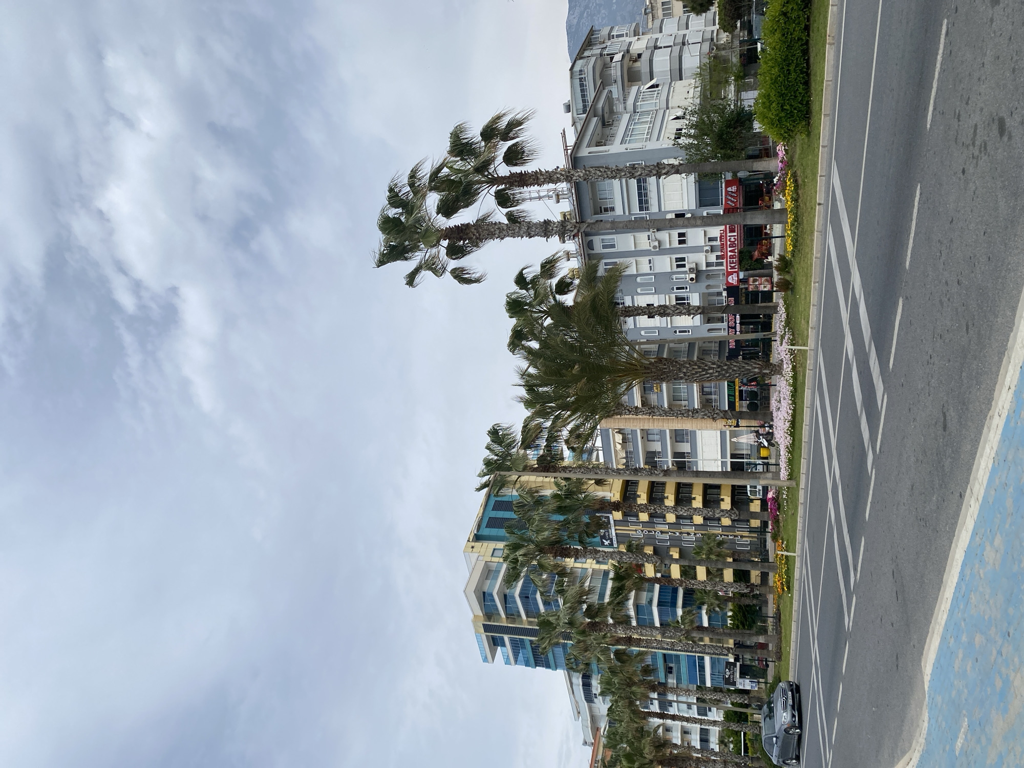 The image shows a street in Alanya, Turkey, lined with palm trees and buildings. The sky is overcast. The road is gray, with white lines marking lanes and a blue bike path on the edge. Along the road are flowerbeds with various colors of flowers. Several multi-story buildings stand on the other side of the palm trees, including one with blue balconies. A dark gray sedan is visible on the road. The palm trees are swaying, suggesting a breeze.