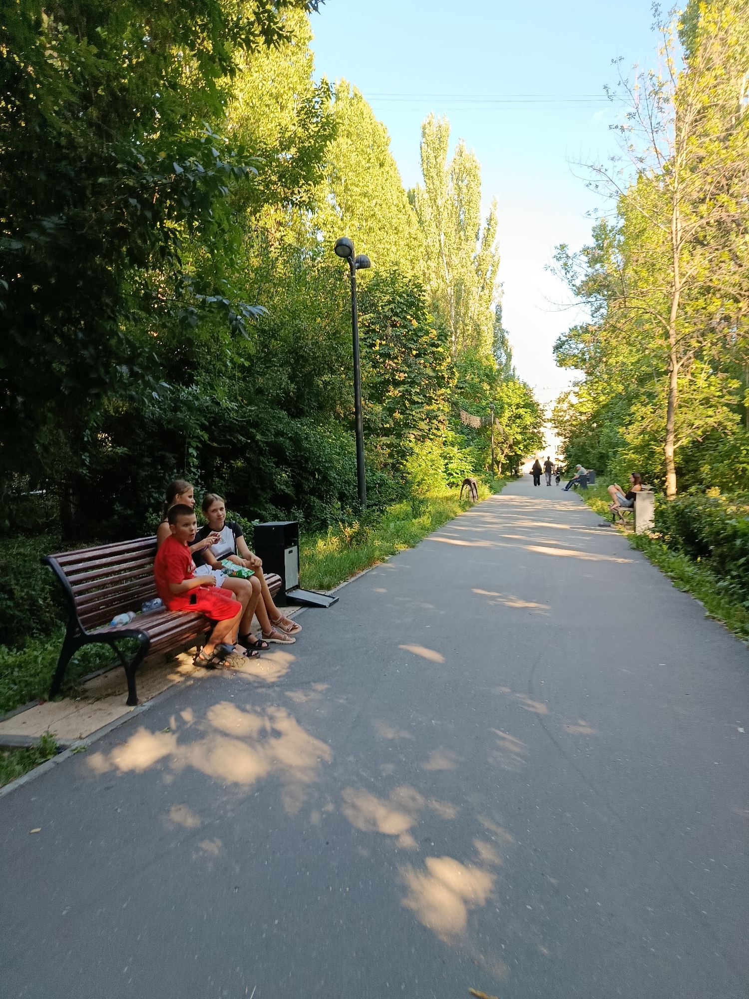 In Saratov, Russia, an asphalt path winds through a park lined with tall trees. Sunlight filters through the leaves, casting dappled shadows on the path. On the left side of the path, a group of three young people sits on a wooden bench. The person on the far left, a young boy wearing a red t-shirt and shorts, is holding a white bag. Next to him, a girl with light brown hair, wearing a white t-shirt and shorts, is looking towards the right. The third person, a girl with darker hair, is seated next to her, also looking to the right. Behind them, a black trash can is visible. Further down the path, several other individuals are walking or sitting, enjoying the park. The trees are lush and green, suggesting a warm season. The sky is clear and blue.