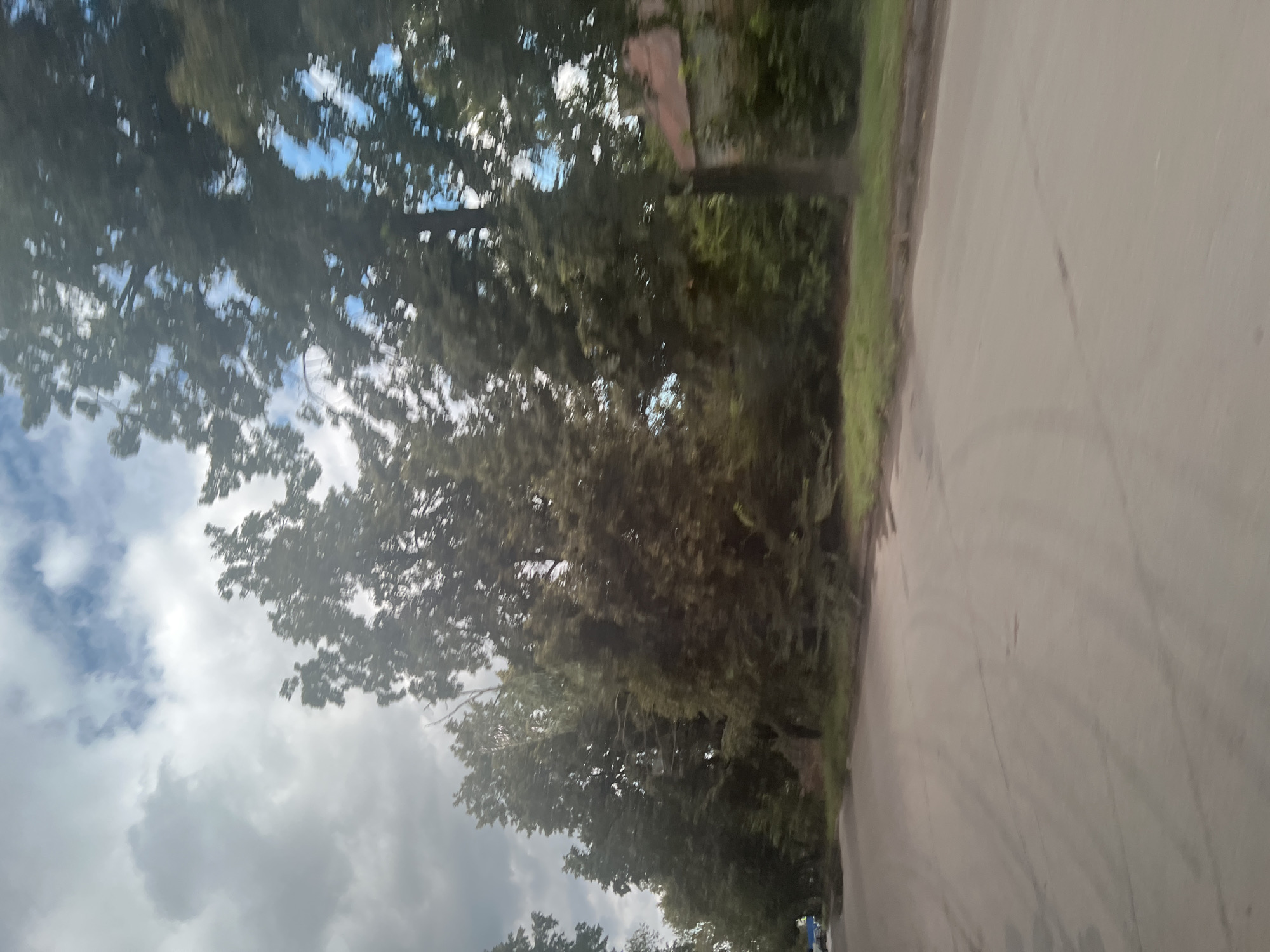 The image depicts a road with trees lining its side. A building with a reddish roof is visible amongst the trees. The sky is partly cloudy with patches of blue. The scene appears to be an outdoor, urban environment, possibly a residential street in Ulyanovsk, Russia. The motion blur suggests the image was taken from a moving vehicle. No people or specific actions are clearly discernible.