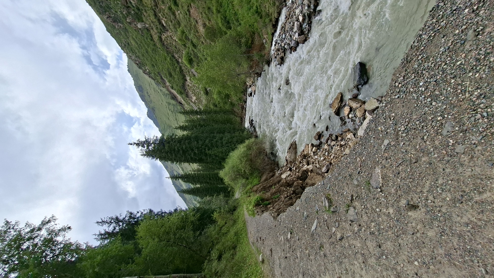 The image depicts a fast-flowing river with muddy, turbulent water, bordered by a gravel path on the left and a lush green, tree-covered mountainside on the right. The path appears eroded in places, with exposed soil and rocks near the riverbank. Tall coniferous trees are scattered throughout the scene, with denser foliage on the left. The sky is overcast with dramatic clouds. The scene suggests a remote, natural environment, possibly a hiking trail or road in a mountainous region. There are no people or structures visible in the image.