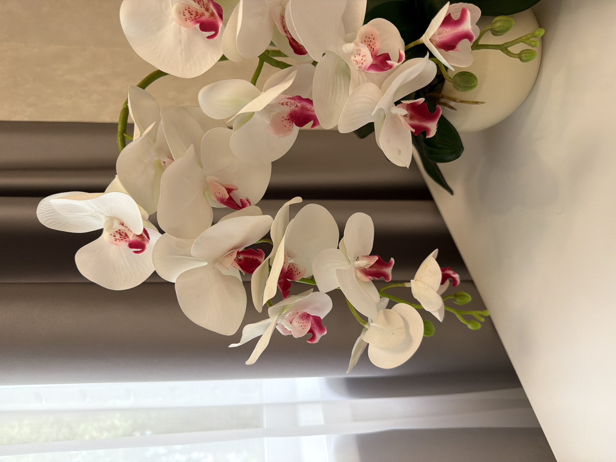 This is a close-up, angled shot of a decorative artificial orchid plant. The plant features several large, white orchid blossoms with pink and dark red centers, and a few green buds. The stems are a vibrant green, and some dark green artificial leaves are visible. The orchid is displayed in a white, ceramic vase, which is partially visible on the right side of the frame.
The background consists of layered window coverings. Closest to the viewer are sheer white curtains or blinds that allow light to filter through. Above these, and behind the orchid, are darker gray, possibly textured, blinds or drapes. The lighting suggests daytime, with diffused light coming from the window area. The overall impression is one of indoor decor, likely in a home or office setting. There is no visible text in the image.