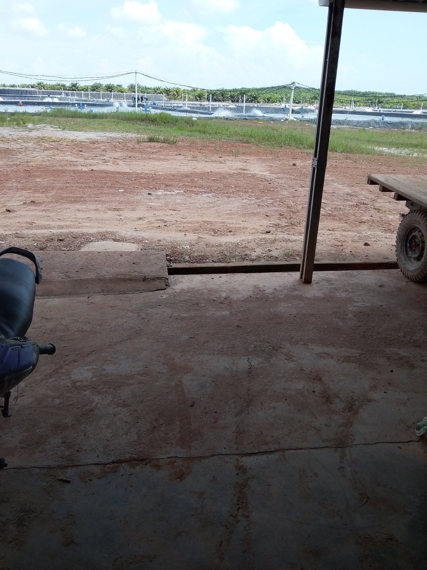 The image shows a scene in Bukit Ketok, Indonesia. In the background, a series of artificial ponds are visible, likely for aquaculture, lined with black plastic sheeting and equipped with aeration devices. The foreground consists of a dirt ground transitioning into a concrete floor, which appears to be inside or at the edge of a structure. A support beam stands near the edge of the concrete. A partial view of a motorcycle is visible to the left, and a portion of a trailer with a wheel is on the right.