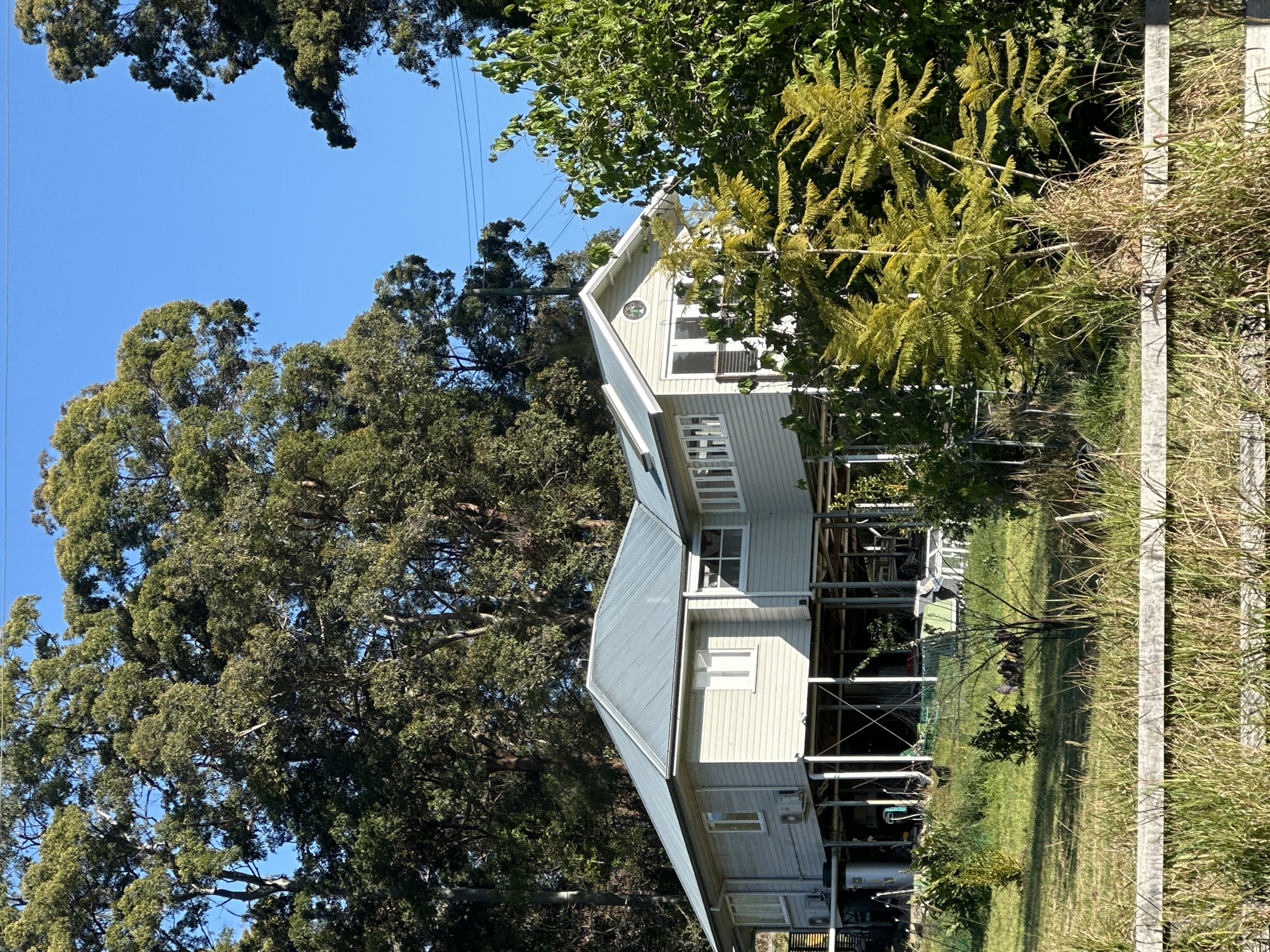 A light beige, two-story house on stilts is pictured in the rural town of Thora, Australia, on a sunny day. The house features a light blue metal roof and numerous windows. The area surrounding the house is overgrown with tall grass, and a dense forest of tall eucalyptus trees fills the background. In front of the house, a wooden fence runs horizontally across the foreground. The scene is tranquil, with no people visible.