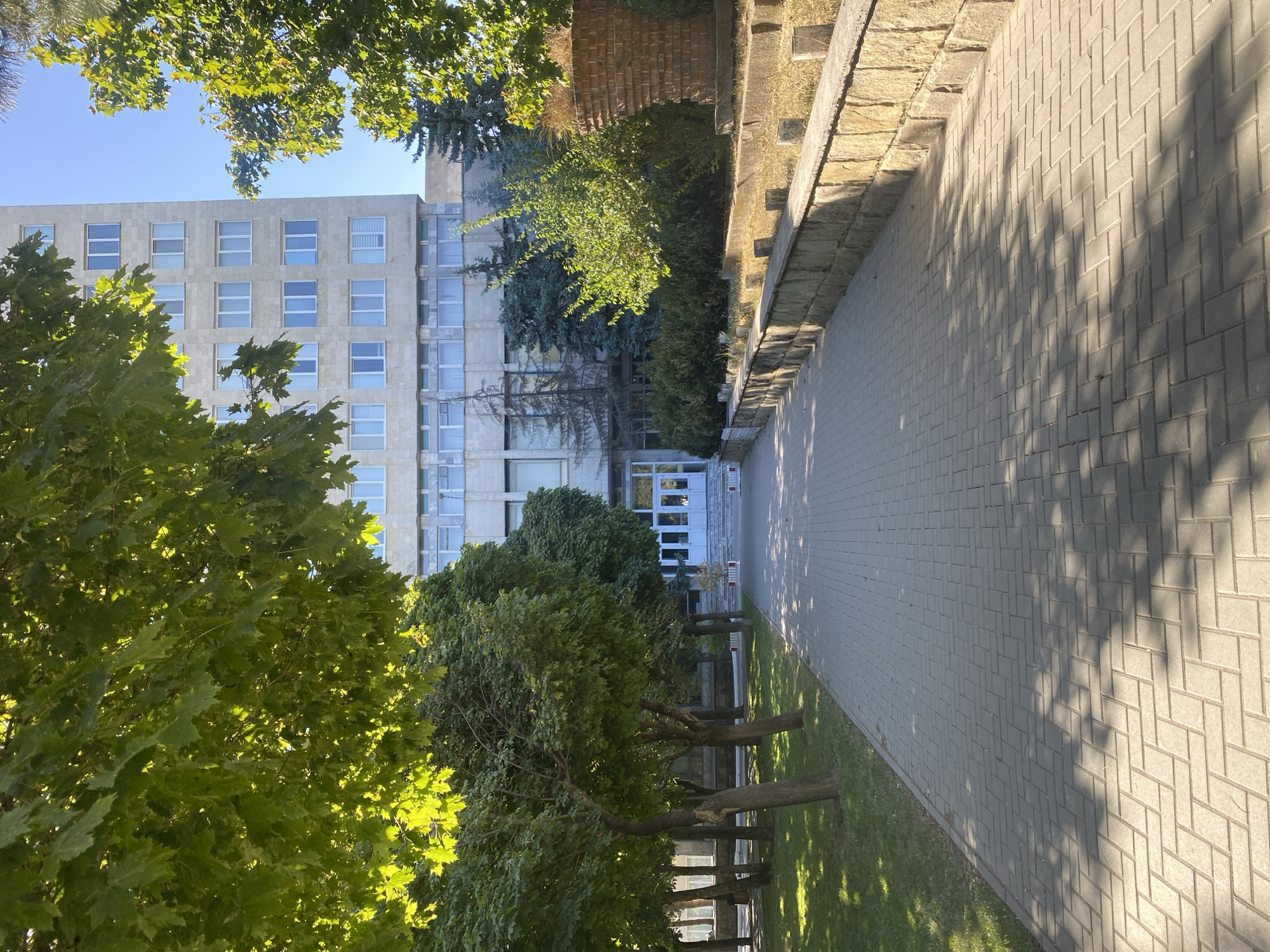 A paved pathway, lined with a low stone wall on the right and grass with trees on the left, leads towards a tall, light-colored, multi-story building. The building has numerous rectangular windows with white frames. The pathway is laid with light grey rectangular pavers in a herringbone pattern, and dappled sunlight and shadows from overhead trees fall across it. The trees on the left are lush and green, with some branches reaching into the frame from the top. On the right, beyond the stone wall, is dry grass and some bushes. The sky is clear and blue. The building's facade is textured, suggesting stone or concrete. The overall scene depicts an outdoor area adjacent to a large building, likely in an urban or institutional setting. This is the Ministry of Agriculture and Food Industry building in Chișinău, Moldova.