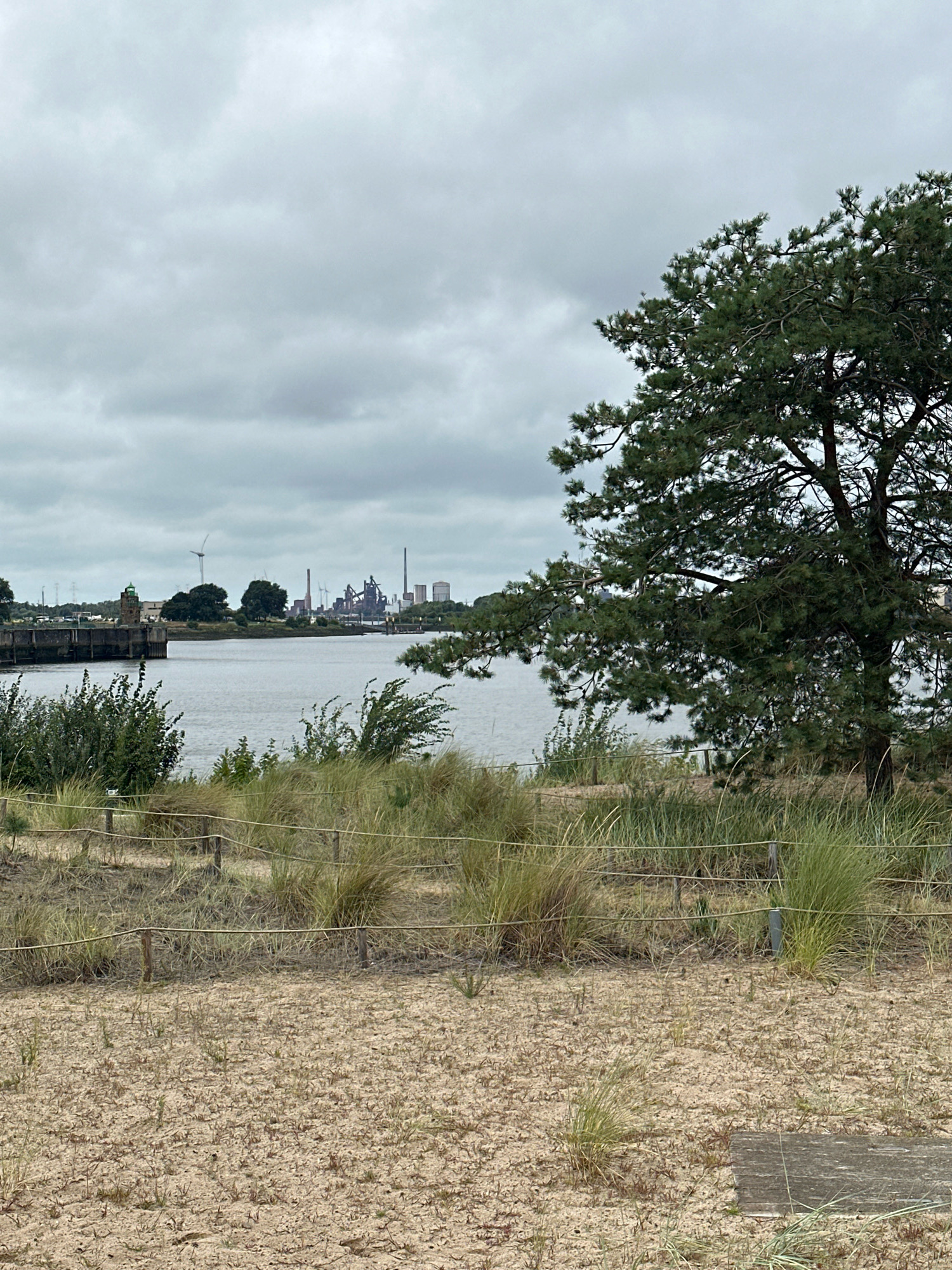 The image depicts a waterfront scene on a cloudy day. In the foreground, sandy ground is covered with sparse vegetation and a rustic wooden path is partially visible. A low rope fence with wooden posts demarcates the sandy area from a patch of taller, dry grasses and bushes.
In the middle ground, a body of water, likely a river or canal, stretches across the frame. Along the far bank, an industrial complex with numerous tall smokestacks and buildings is visible. To the left of the industrial area, a lighthouse-like structure with a green light on top stands on a concrete quay. A wind turbine is also visible in the distance.
Dominating the right side of the frame is a large pine tree with dark green needles and thick branches. The sky above is overcast with a uniform grey cloud cover. The overall impression is one of an industrial port area adjacent to a natural, dune-like landscape. This scene is likely located at the borders of the city of Bremen, Germany, possibly within the area of the Überseestadt or along the Weser River.