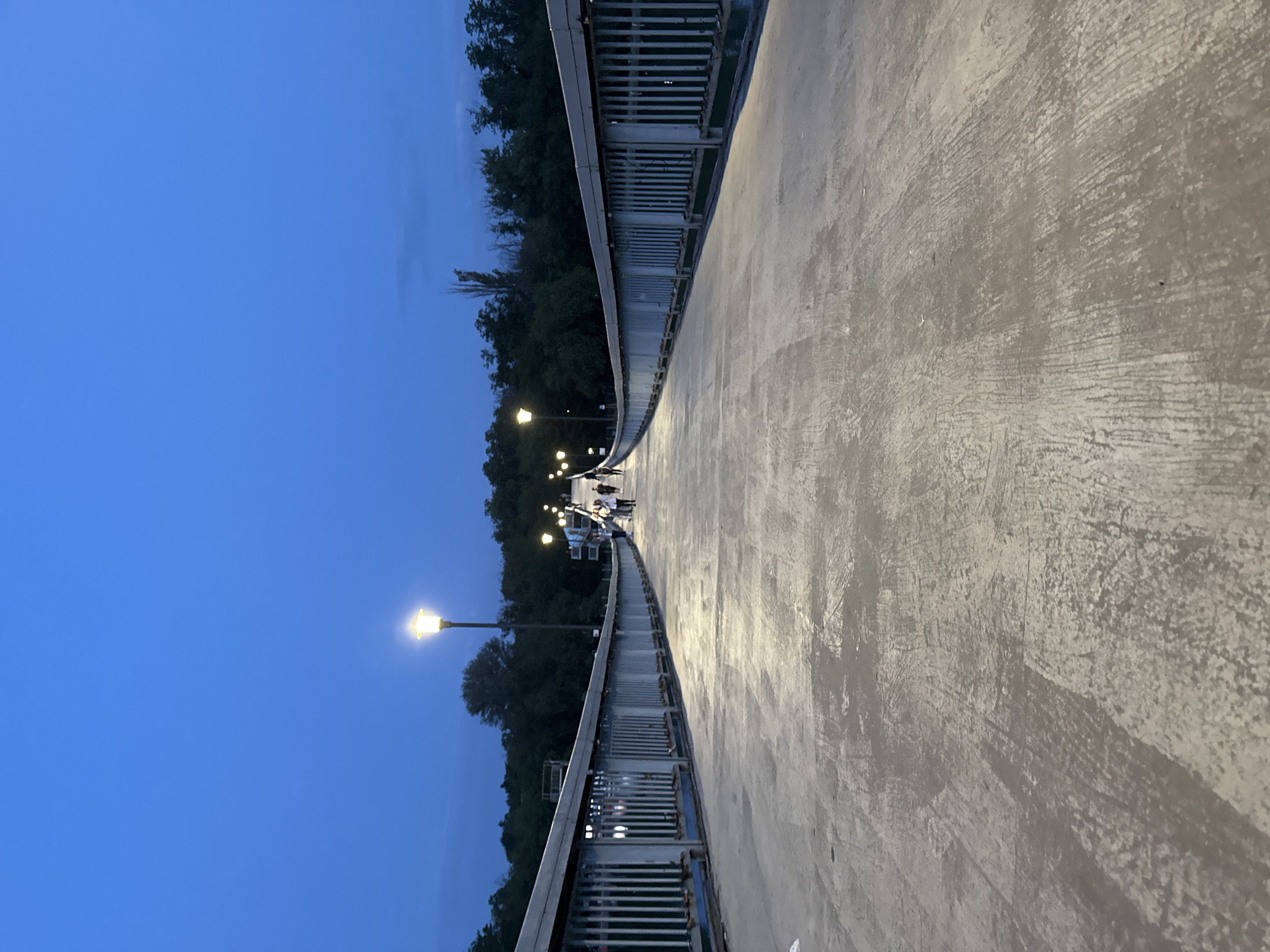 This image captures a wide, paved pedestrian bridge or elevated walkway at dusk or early night, located in Plovdiv, Bulgaria. The perspective is looking forward along the length of the path, which gently curves to the left in the distance.
The dominant features include the broad, textured concrete surface of the path, illuminated by artificial light. On the left side of the path, a sturdy metal railing or balustrade runs along its edge. Beyond the railing, a dense line of trees is visible, their dark silhouettes contrasting against the deep blue twilight sky. A series of streetlights with warm yellow-orange glows are spaced along this side of the path, casting light onto the ground.
In the mid-ground, several blurry figures, likely people, can be seen walking or standing on the path, particularly near the curve where more streetlights are visible. The sky is a clear, uniform blue, indicating fair weather. There is no visible text in the image. The scene conveys a calm, quiet evening atmosphere with ongoing public activity on the bridge.