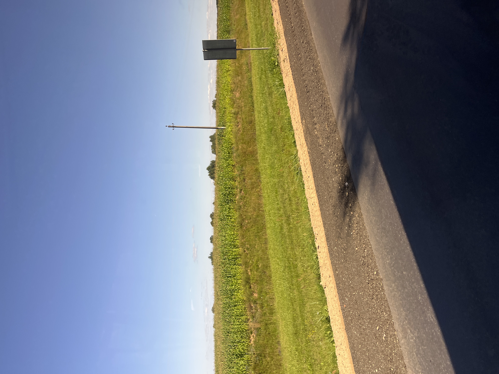 An image captured from a low angle on a sunny day shows a paved road in the foreground, with a shoulder of gravel and dirt separating it from a lush green field. The field, appearing to be a crop of corn, stretches horizontally across the middle ground, its dense stalks reaching towards a clear, pale blue sky. In the distance, a few scattered trees dot the horizon, and a solitary utility pole stands in the field. To the right, a dark rectangular sign is mounted on a thin pole, its purpose unclear. The overall scene evokes a rural landscape, possibly on the outskirts of Pastavy, Belarus, a region known for its agricultural fields and open spaces. There are no people visible in the frame.
