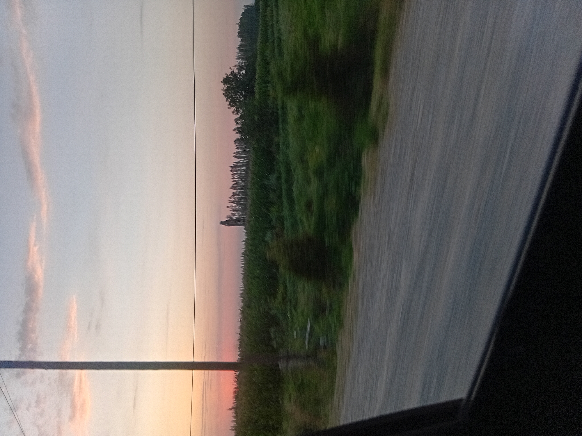 A horizontal, slightly blurred, eye-level, long shot captures a rural landscape at dawn or dusk. A utility pole, dark gray and roughly rectangular in cross-section, stands on the left side of the frame, bisecting the image vertically. A thin, dark horizontal line, likely a power line, stretches across the middle of the frame. Beyond the pole and line, a field of green crops, possibly corn, extends to the horizon, transitioning into a dense line of tall, slender trees. The sky is a gradient of soft colors, with pale orange and pink hues near the horizon and transitioning to light blue and then pale gray at the top. The foreground shows a blurred gray road, suggesting movement.