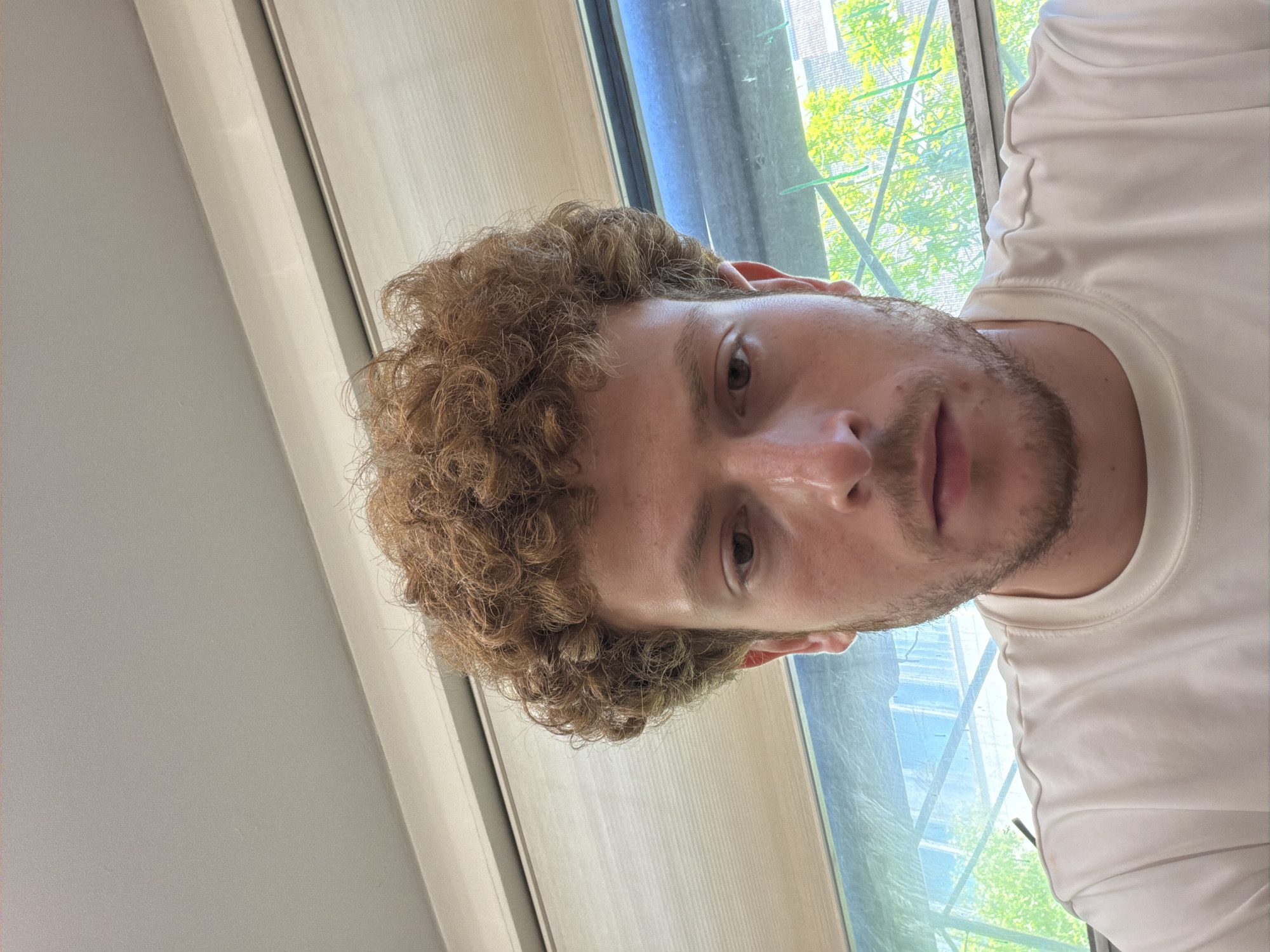 A close-up shot depicts a man with curly brown hair and a stubbly beard. He is wearing a white t-shirt. Behind him, there is a window with a view of trees and buildings, suggesting an urban environment. Based on the architectural style and flora visible through the window, it is plausible that this scene is located in New York City. The image is vertically oriented and has been rotated.