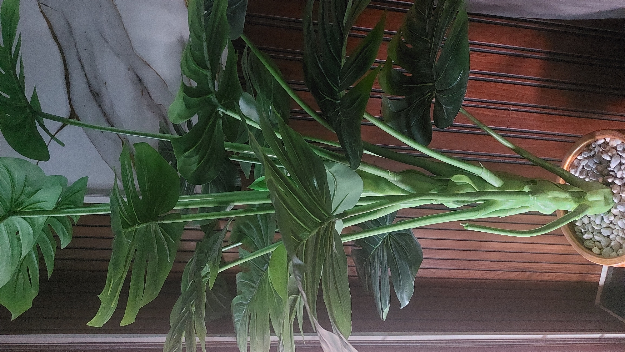 An indoor artificial Monstera plant with large green leaves stands in a pot filled with white stones. The pot is placed near a wooden paneled wall and a marble-patterned wall. The plant is the central subject of the image, occupying most of the frame. The lighting suggests an indoor setting, possibly a home or office. There are no people or animals visible in the image. The scene appears to be staged for decorative purposes. There is no information about the specific location within the city of Medan, Indonesia.