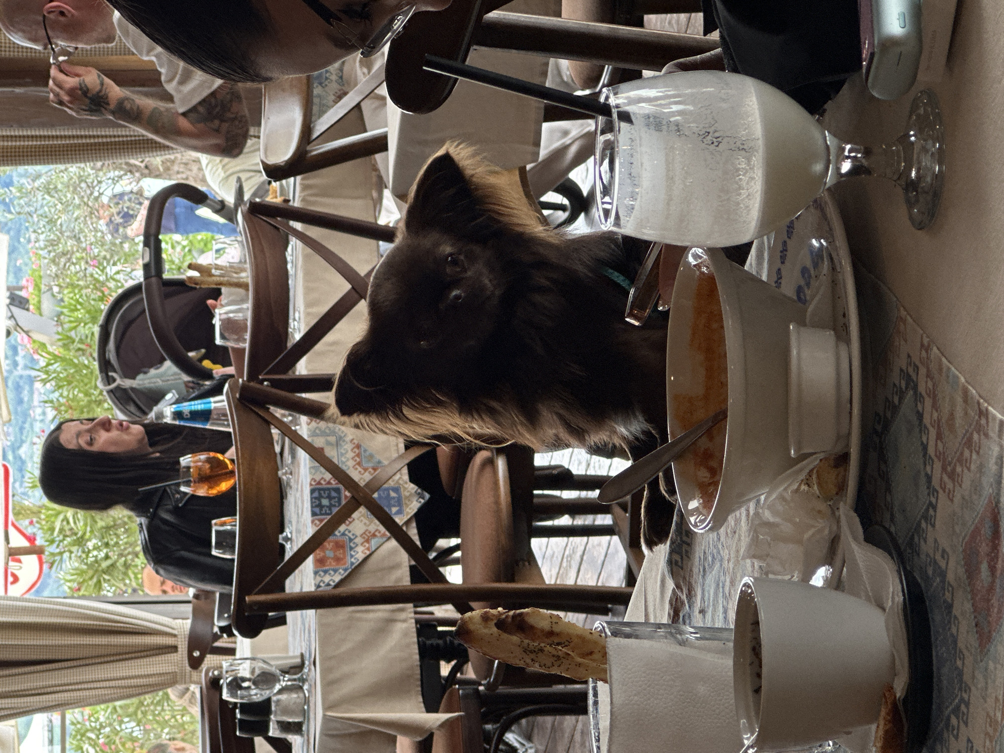 The image shows a dog sitting at a table at a restaurant, possibly in Varna, Bulgaria, due to the type of outdoor seating. The restaurant has wooden chairs with patterned cushions. In front of the dog is a bowl of soup with a spoon, and to the side is a glass of white liquid. A woman is seated at the table, drinking a glass of orange-colored liquid, and another individual with tattoos on their arm is visible as well. A baby stroller is also in the background. The scene gives the impression of a meal at an outdoor dining location.