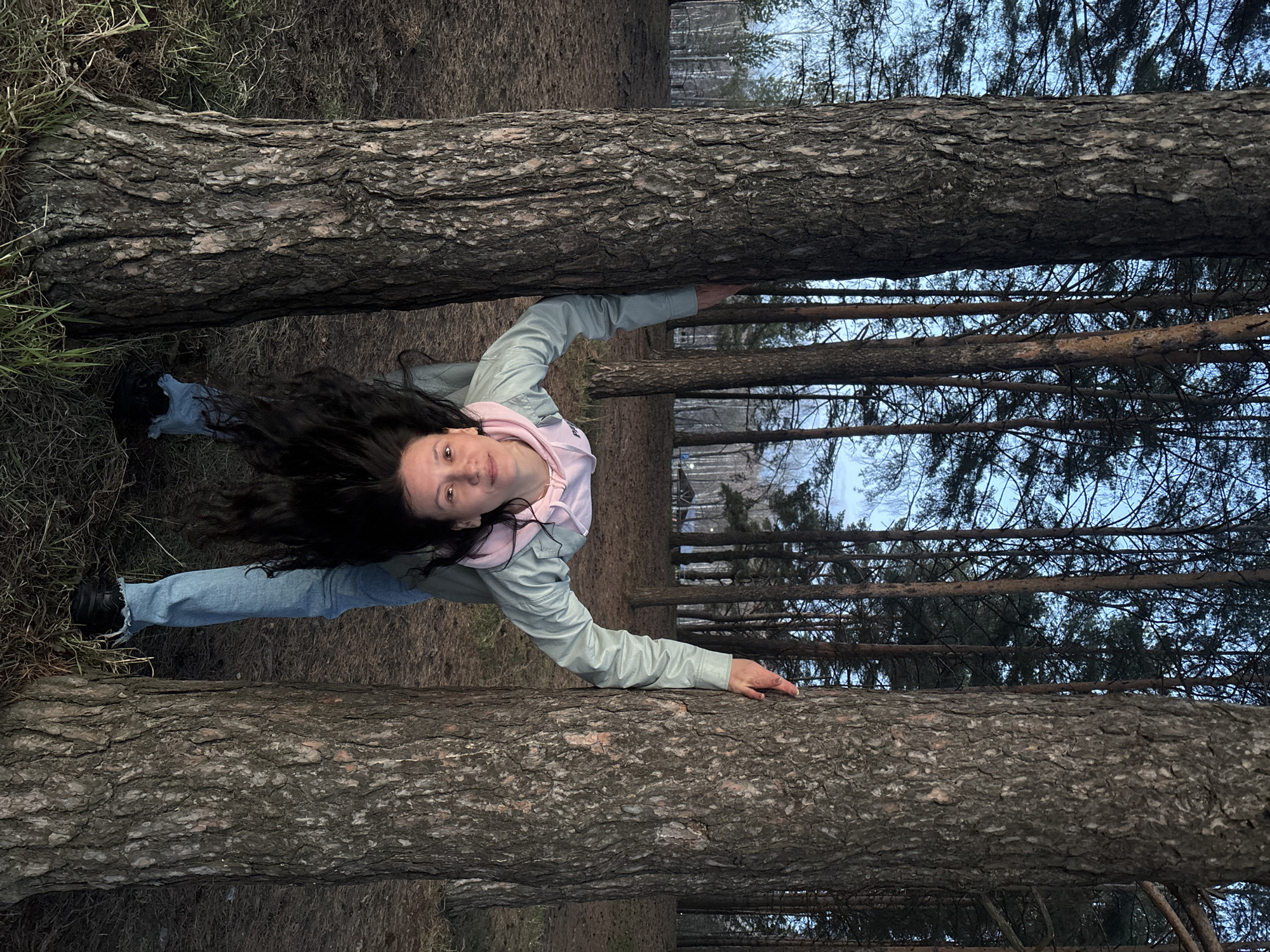 A young woman is captured in a forest setting, seemingly suspended horizontally between two large tree trunks. She has long, dark, wavy hair that spreads to her left. She is dressed in a light blue-grey jacket over a light pink hoodie and blue jeans, with black shoes on her feet. Her arms are outstretched, pressing against the rough, dark bark of the two parallel trees, which dominate the foreground and midground.
The woman's head and upper torso are visible on the left side, and she looks directly at the camera with a calm expression. Her legs extend to the right, largely hidden by the lower tree trunk. The background reveals a dense evergreen forest under an overcast or twilight sky, suggesting muted lighting conditions, possibly late afternoon or an overcast day. The ground is covered with sparse dry grass and fallen foliage, typical of a natural woodland. The unique pose conveys a sense of playfulness or an optical illusion within the serene forest environment, located in Chaikovsky, Russia. No text is visible in the image.