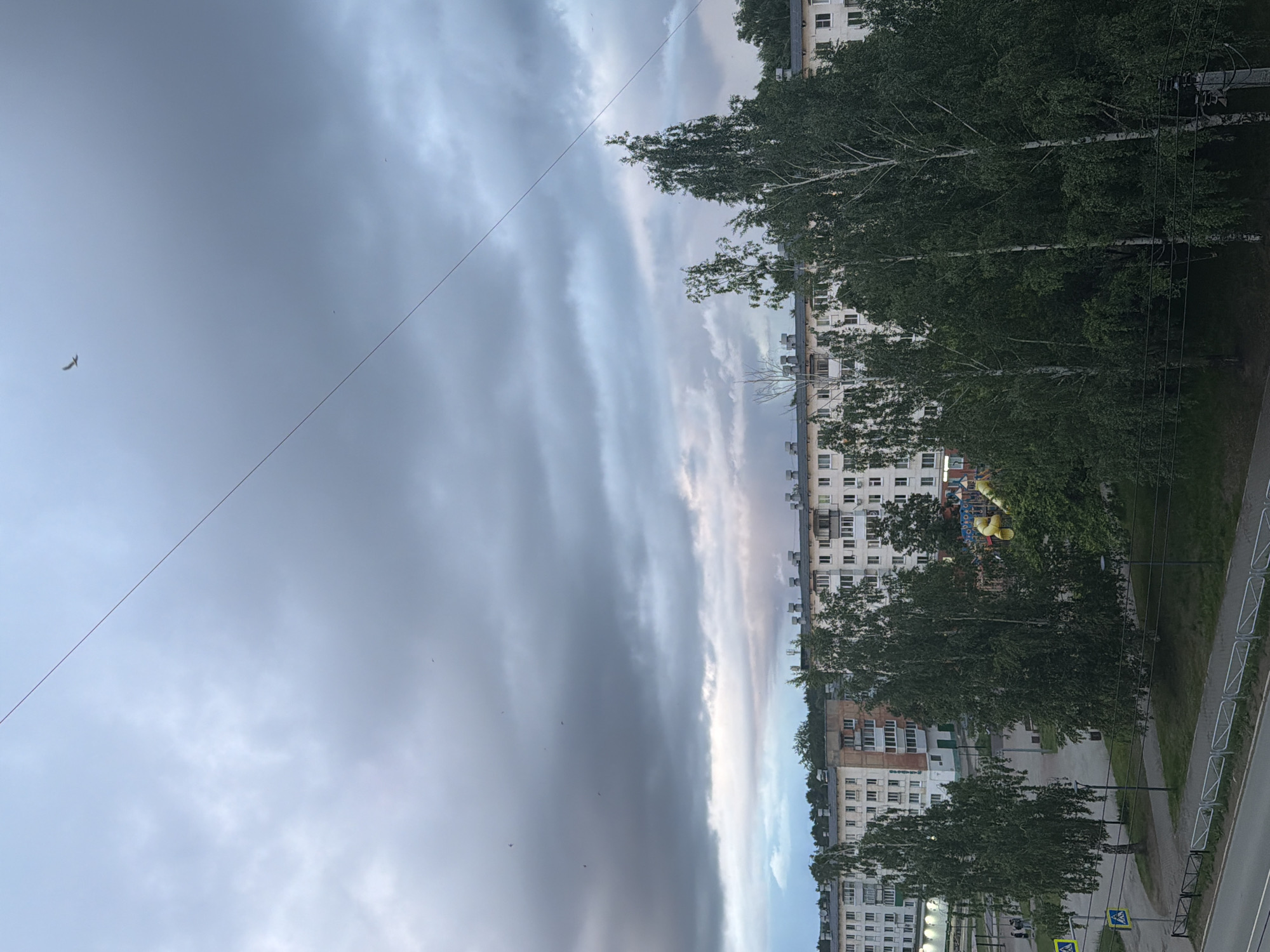 This media file captures an urban landscape scene in Chaikovsky, Russia, from an elevated perspective, likely a building window or balcony. The image is oriented vertically (or rotated 90 degrees clockwise from standard landscape).
The scene is dominated by a largely overcast sky, with shades of gray clouds stretching across the frame. Some lighter, brighter streaks of clouds are visible towards what would be the horizon, suggesting late afternoon or early evening light. Several small birds are present in the sky, with one distinct bird in flight on the far left. A dark, thin utility cable or power line runs diagonally across the upper portion of the sky.
Below the sky, numerous multi-story residential apartment buildings, characteristic of Russian architecture, are visible across the midground and background. These buildings are light-colored with many windows. Abundant deciduous trees with full green foliage, possibly birch trees, are interspersed among the buildings and line the street level, indicating a summer or late spring season. A colorful children's playground, featuring yellow and blue elements, is visible among the buildings in the mid-ground.
Along the bottom right of the frame, a paved road or pathway is visible, lined with white safety barriers or fences. Utility poles and a faint blue and white road sign, likely indicating a pedestrian crossing, are also present in this area.
No specific activities or events are actively taking place; it's a static view of a residential area. The weather is overcast but calm. No discernible people or vehicles are clearly visible. The overall mood is quiet and everyday. There is no clearly legible text on the visible road sign.