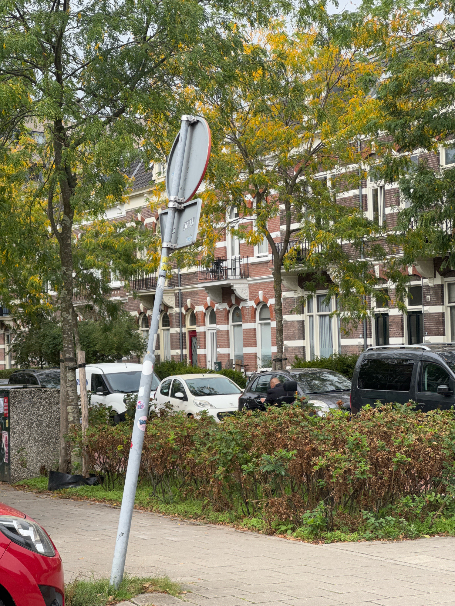 A street scene in Nijmegen, Netherlands features a narrow sidewalk in the foreground with a red car partially visible on the left. Beyond the sidewalk is a low hedge with some brown, dry foliage interspersed with green leaves. Several cars are parked on the street behind the hedge, including a white van, a white hatchback, a dark sedan, and a dark minivan. The buildings in the background are multi-story structures with red brick facades and white detailing around windows and balconies. Deciduous trees with green leaves and some yellowing foliage line the street in front of the buildings. A tall, grey metal pole with two traffic signs is positioned on the sidewalk near the center of the image. The sky appears overcast.