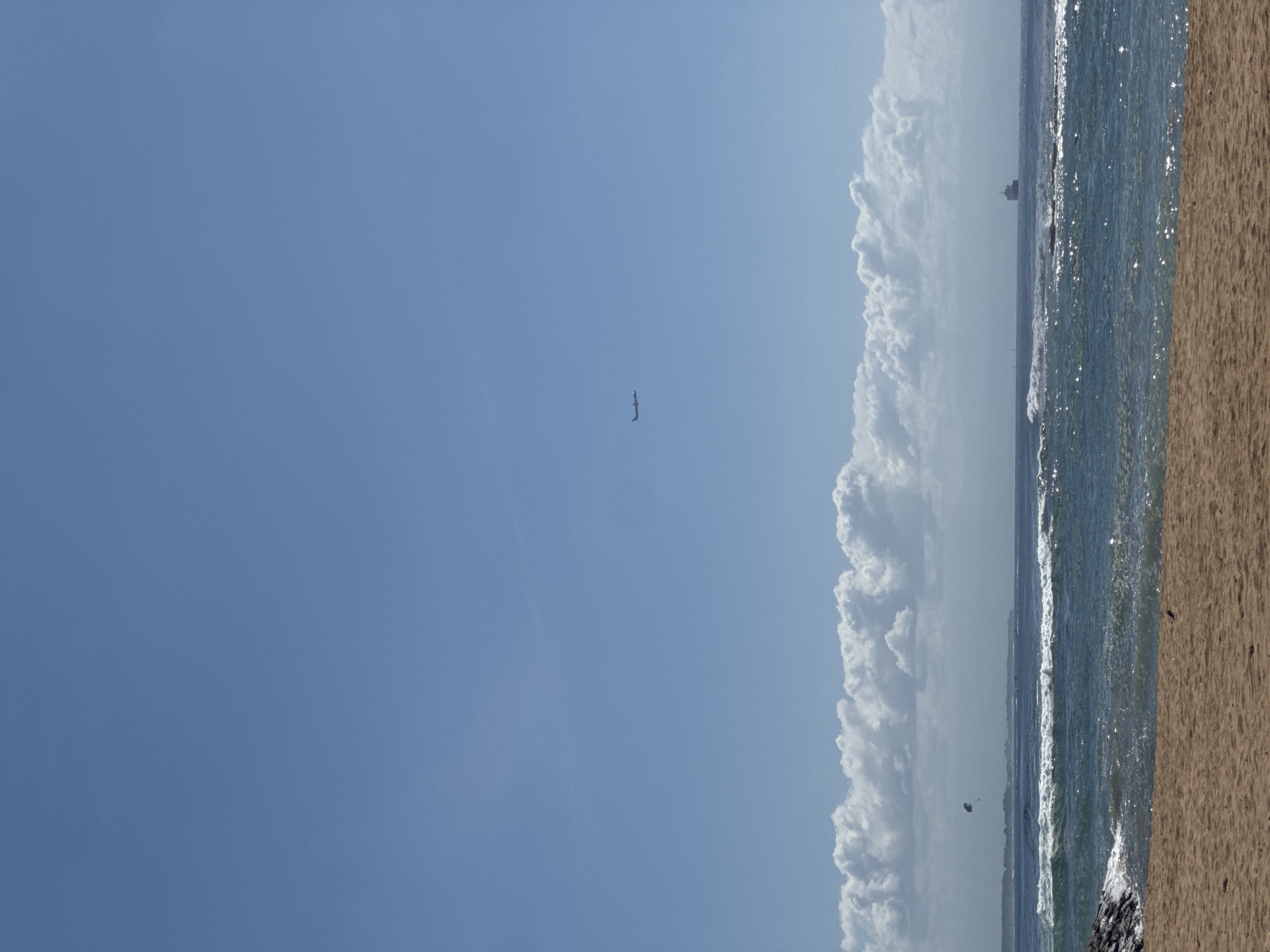 The image depicts a coastal scene in Kuta Selatan, Indonesia, featuring a predominantly clear blue sky. A single bird is visible in the sky's center. The right edge of the image shows the ocean with waves and the sandy beach. Large, cumulonimbus clouds occupy the right side of the sky. A ship is visible on the horizon.