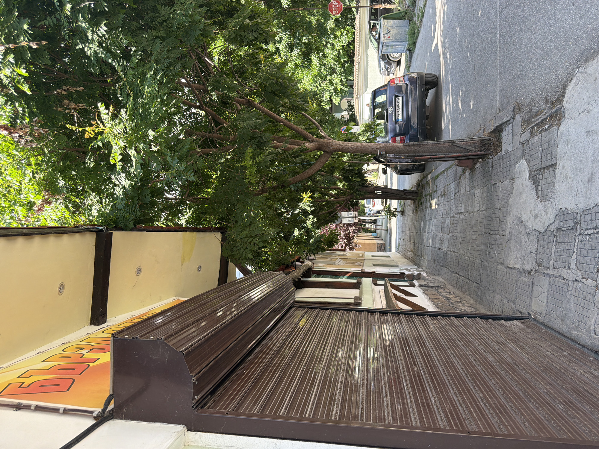 The image captures a street scene in Pazardzhik, Bulgaria. In the foreground, a closed store with a brown metal shutter is visible along the left side of the frame. Above the shutter, a yellow awning with orange lettering, partially obscured, suggests a commercial establishment. The sidewalk is paved with cracked concrete and square tiles. Trees line the sidewalk, casting shadows onto the pavement and the street. On the street, a dark blue Toyota Urban Cruiser is parked. Further down the street, a black SUV is visible, and a large metal trash bin is placed on the right side of the road. A red circular STOP sign is positioned on a pole on the right side of the street. The environment appears to be a typical urban street on a sunny day.