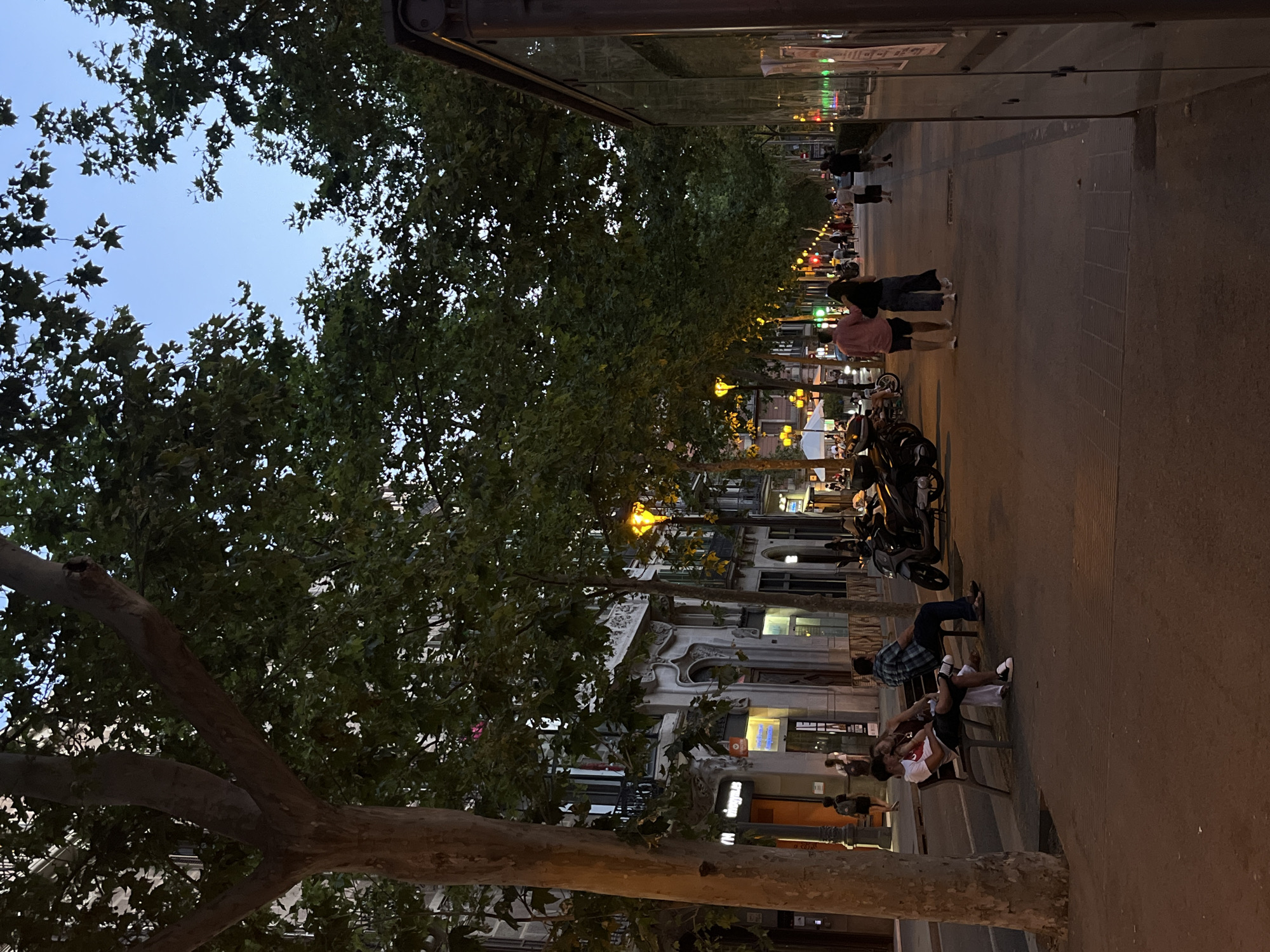 The image shows a street scene in an unknown city. A tree trunk is in the foreground on the left and extends into the lower center. The street is lined with trees and lit by street lamps. Buildings are visible behind the trees. People are seen walking along the street and sitting on benches. Motorcycles are parked along the curb. The sky is visible through the trees.