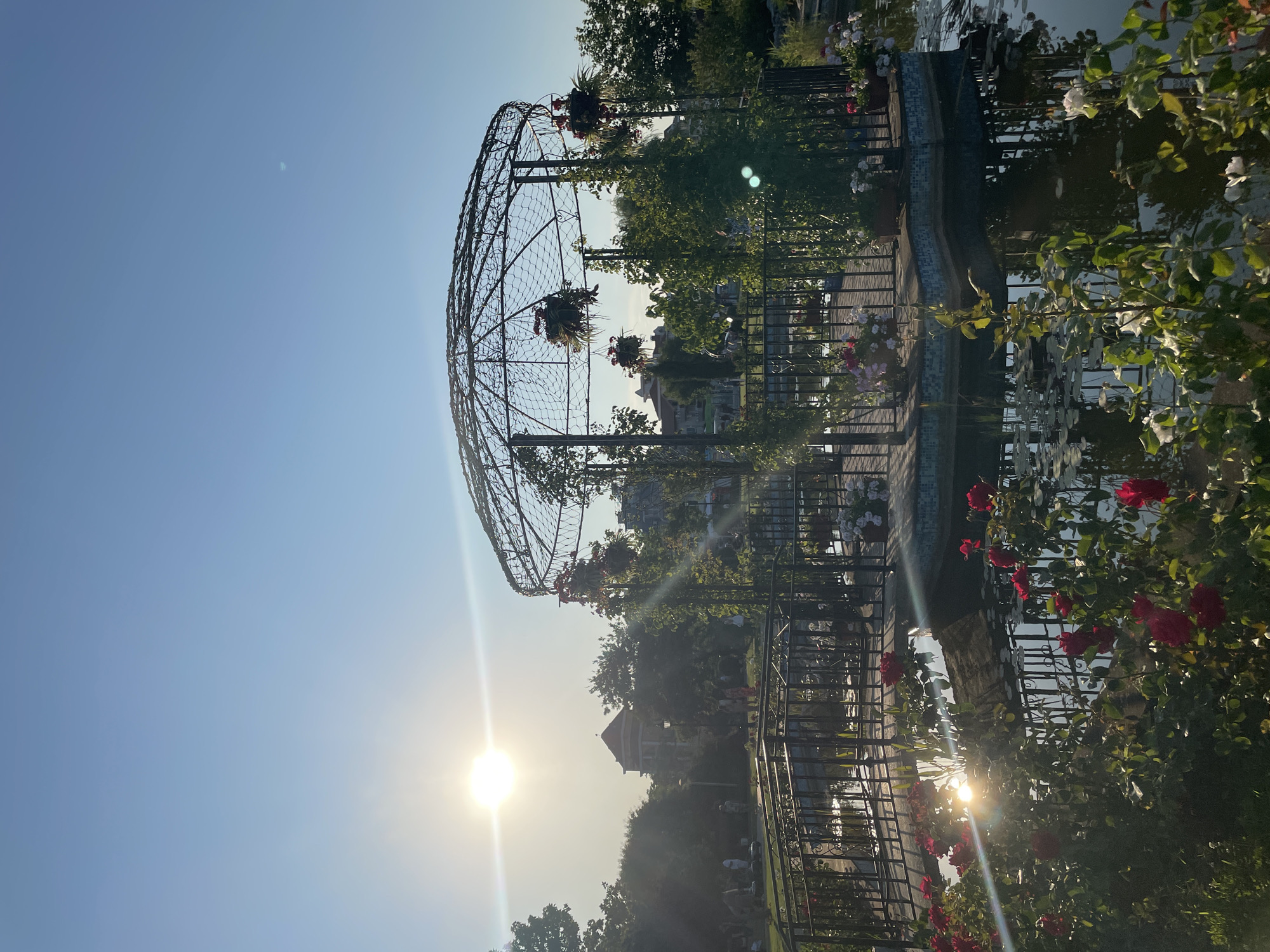 The image depicts a sunny day in a park in Obzor, Bulgaria, with a gazebo in the center of a pond. Red and white roses are in bloom around the pond, and lily pads float on the water. The gazebo is made of metal and has hanging baskets of flowers. In the background, there are trees and buildings, and several people are visible walking in the park. The sun is shining brightly, casting a glare on the water and in the sky.