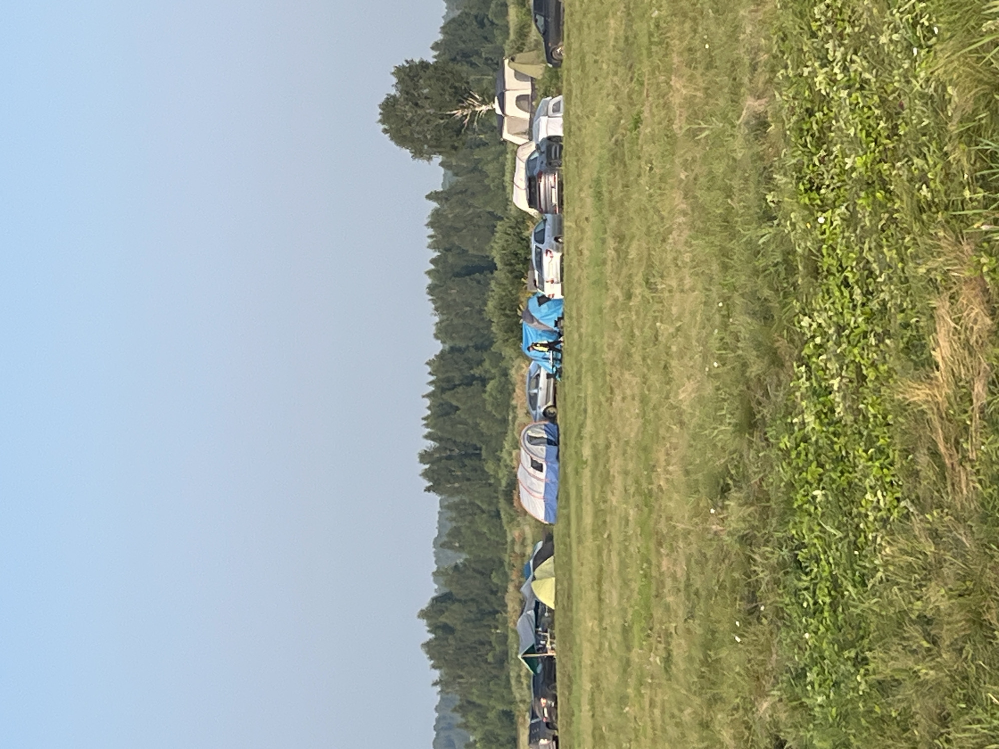 In Surakovo, Russia, on a clear day, a campsite is set up in a grassy field with a treeline in the background. Several tents are pitched, including a large blue and white dome tent, a green dome tent, and a larger structure resembling a temporary shelter with a blue tarp. A line of cars is parked behind the tents, including black SUVs, a silver sedan, and a white car. One person, wearing a yellow jacket, is visible standing near some blue tents. The environment is natural, with a vast expanse of green grass and a dense forest bordering the horizon.