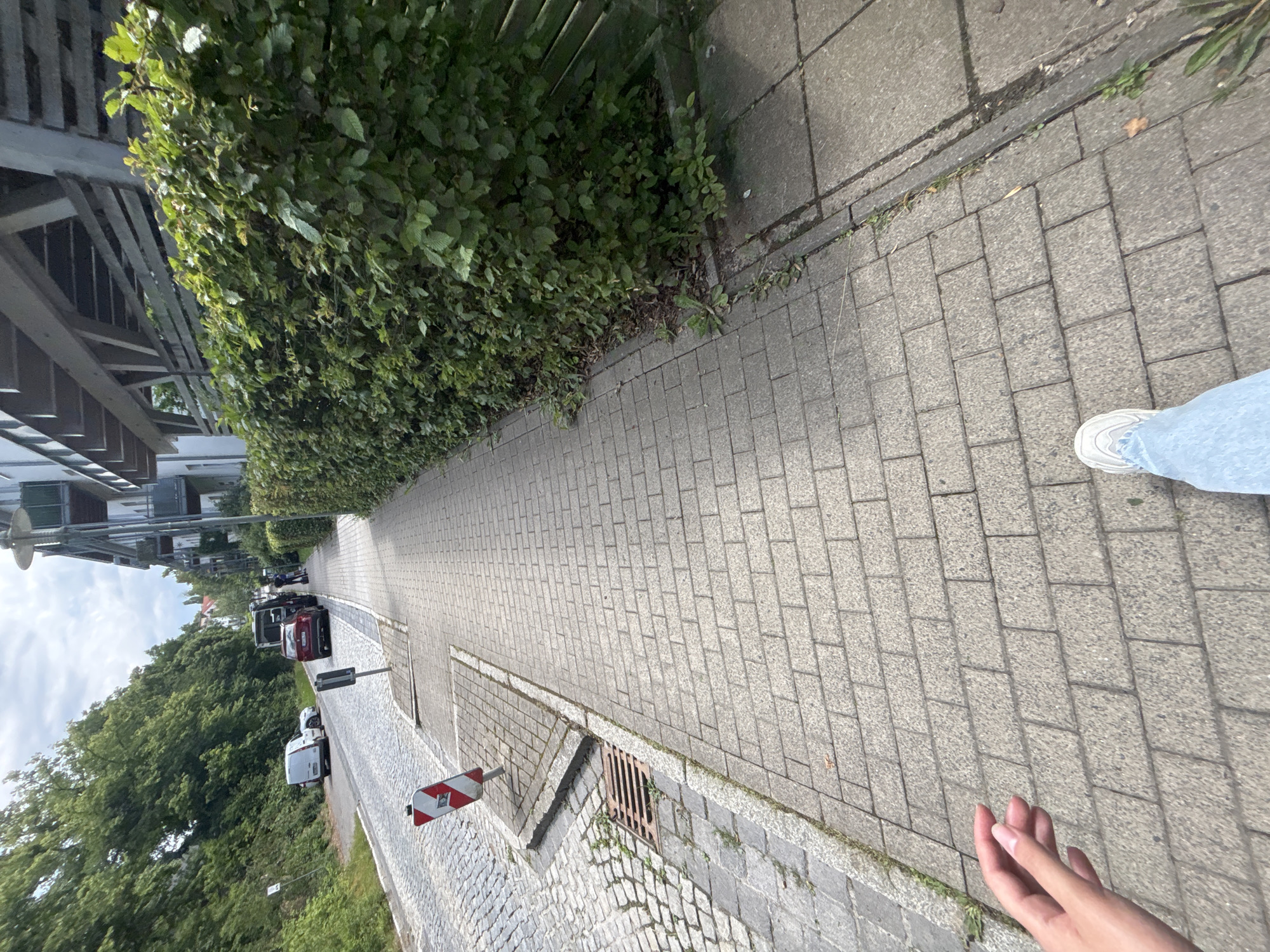 A first-person perspective view of a person walking on a paved sidewalk in Göttingen, Germany. The sidewalk is made of rectangular grey bricks and runs alongside a dense green hedge. On the left side of the sidewalk, the street is visible, paved with cobblestones and lined with parked cars, including a white van and a red car. Further up the street, a black truck is visible. The background features buildings with white facades and wooden balconies, interspersed with green trees. The sky is overcast. In the foreground, the person's left hand is extended slightly to the side, and their left leg, clad in light blue jeans and a white sneaker, is visible in the frame. A metal grate is present near the edge of the street and sidewalk.