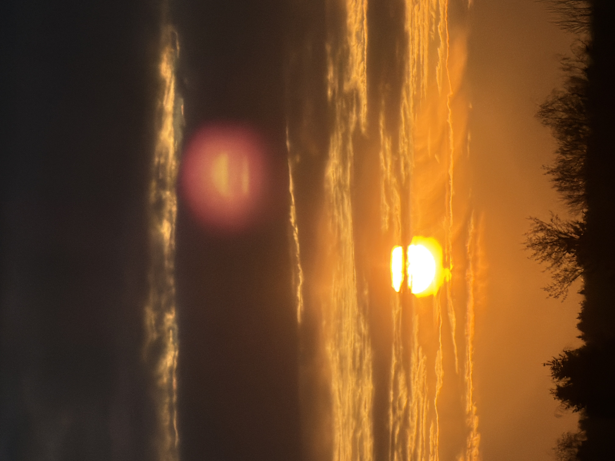 The image displays a dramatic sunset or sunrise scene, characterized by a sky ablaze with warm, intense colors. The sun, a brilliant disc of light, is positioned towards the right side of the frame (when viewed in correct landscape orientation), appearing partially diffused by clouds and emitting a powerful yellow-orange glow.
Streaky, elongated clouds traverse the sky, catching the sun's direct light and glowing vibrantly in shades of gold, amber, and fiery orange. These clouds form distinct horizontal bands, contrasting with darker, reddish-brown and gray areas of the sky.
Along the far right edge of the image, a dark silhouette of trees or dense foliage outlines the horizon, providing a stark, dark foreground against the radiant sky. Some branches appear bare, suggesting a winter or late autumn season.
A prominent, circular lens flare, colored reddish-pink with a brighter yellowish core, is visible on the left side of the frame, indicating the intensity of the light source. The overall lighting is strong backlighting, enhancing the vibrant colors and creating a dramatic contrast. The scene evokes a sense of natural beauty at dawn or dusk. There are no identifiable people, objects beyond the natural elements, or visible text.