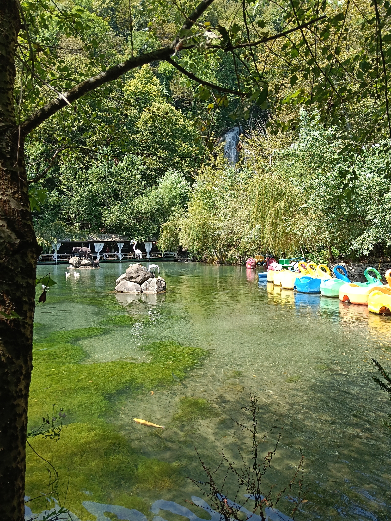 The image depicts a tranquil lake surrounded by lush green trees, with a small waterfall visible in the background. On the right side of the lake, a row of colorful paddle boats, shaped like swans and other animals, are docked along the shore. In the center of the lake, there are several large rocks, some of which have decorative statues of animals, including a black bear and white swans. A covered structure with white curtains is situated on the far side of the lake, possibly a restaurant or pavilion. The water is clear and shallow in some areas, revealing green aquatic plants and a golden fish swimming near the surface. The overall scene suggests a recreational park or resort setting, likely in a natural, serene environment. The location is stated to be in the city of Ərmənət, Azerbaijan.
