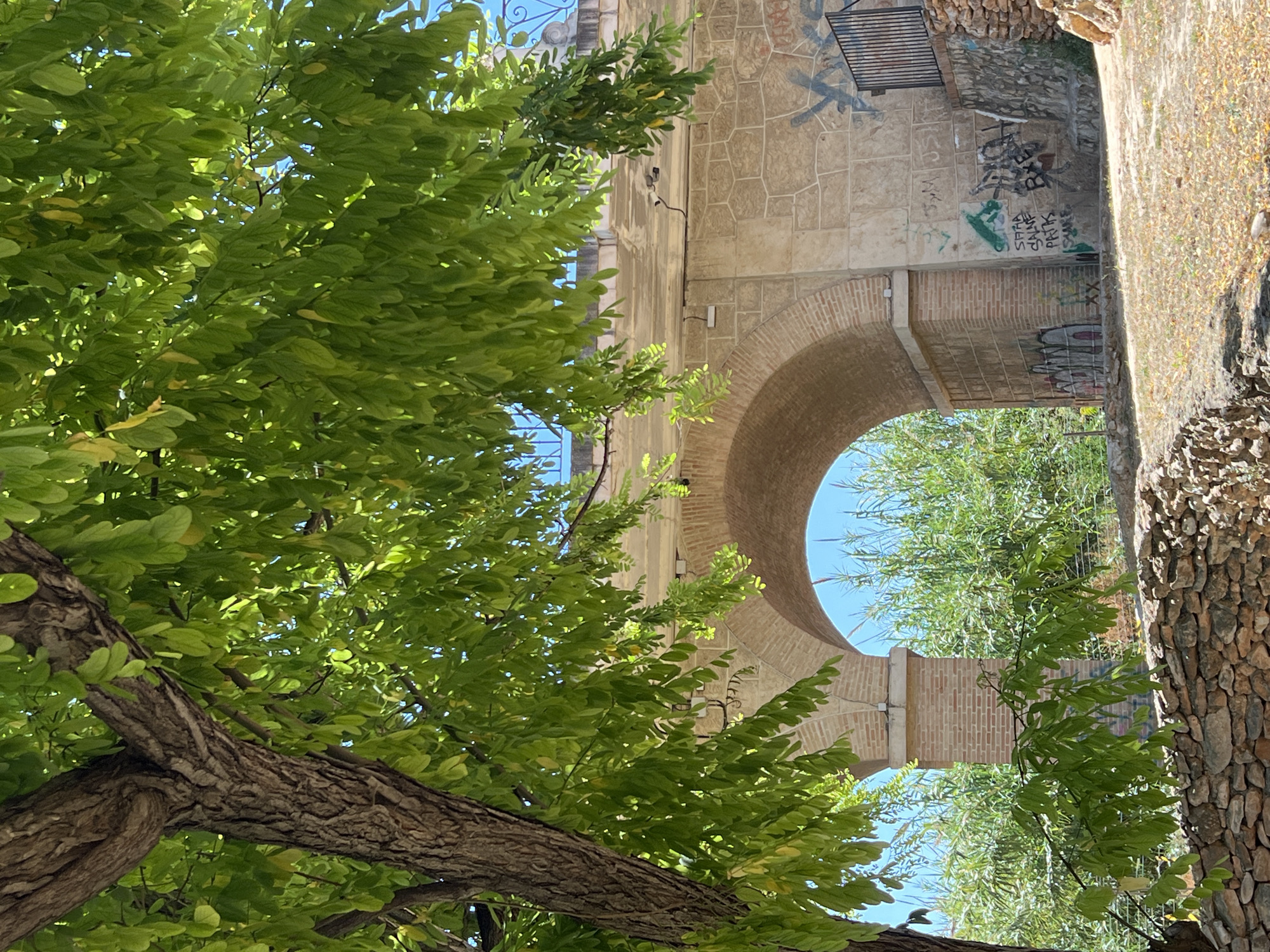 The image depicts an archway in Picassent, Spain, as viewed through tree branches. The archway is constructed of tan stone and brick, and it is covered in graffiti. Beyond the archway, there is another tree and a stone wall. The sky is visible through the archway. The image is taken from a low angle, looking up at the archway.