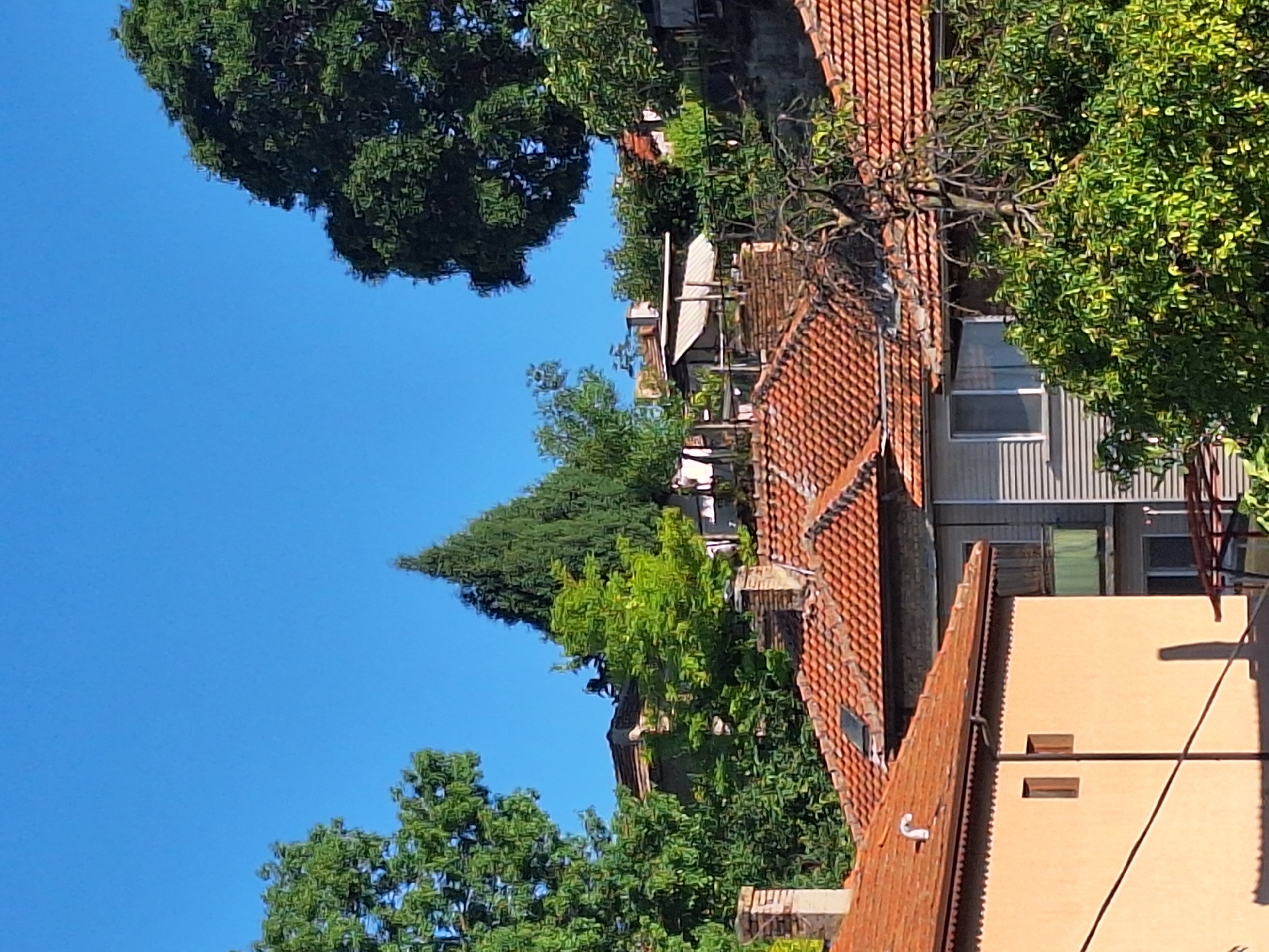 The image captures a view of tiled rooftops and lush green trees against a clear blue sky, suggesting a daytime scene in a residential area. Several houses are visible, characterized by their orange tile roofs and brick or painted exteriors. One prominent house in the foreground is light orange with two small, square windows. Adjacent to it, another building features grey siding and a green balcony railing. The surrounding vegetation includes dense trees, some with large canopies, partially obscuring the buildings. A tall, conical evergreen tree stands out among the foliage. Chimneys are visible on some of the rooftops. The overall impression is one of a sunlit, tranquil neighborhood, likely located in a hilly or elevated part of Varna, Bulgaria, given the terrain suggested by the arrangement of houses and trees.