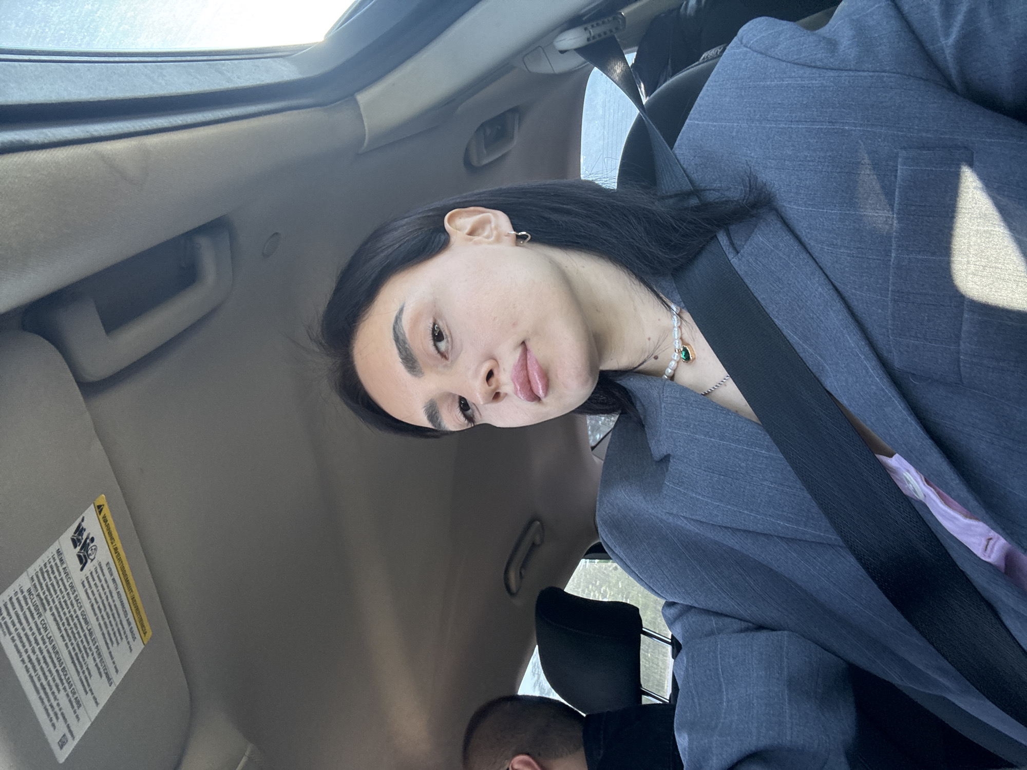 A person wearing a gray pinstripe suit is sitting in a car. The car interior is tan. The person is wearing a seatbelt. A portion of another person's head is visible in the lower center of the image. A warning label is visible on the sun visor. The location appears to be inside a vehicle, not necessarily in Tbilisi, Georgia, as no landmarks or distinct Georgian features are apparent.
