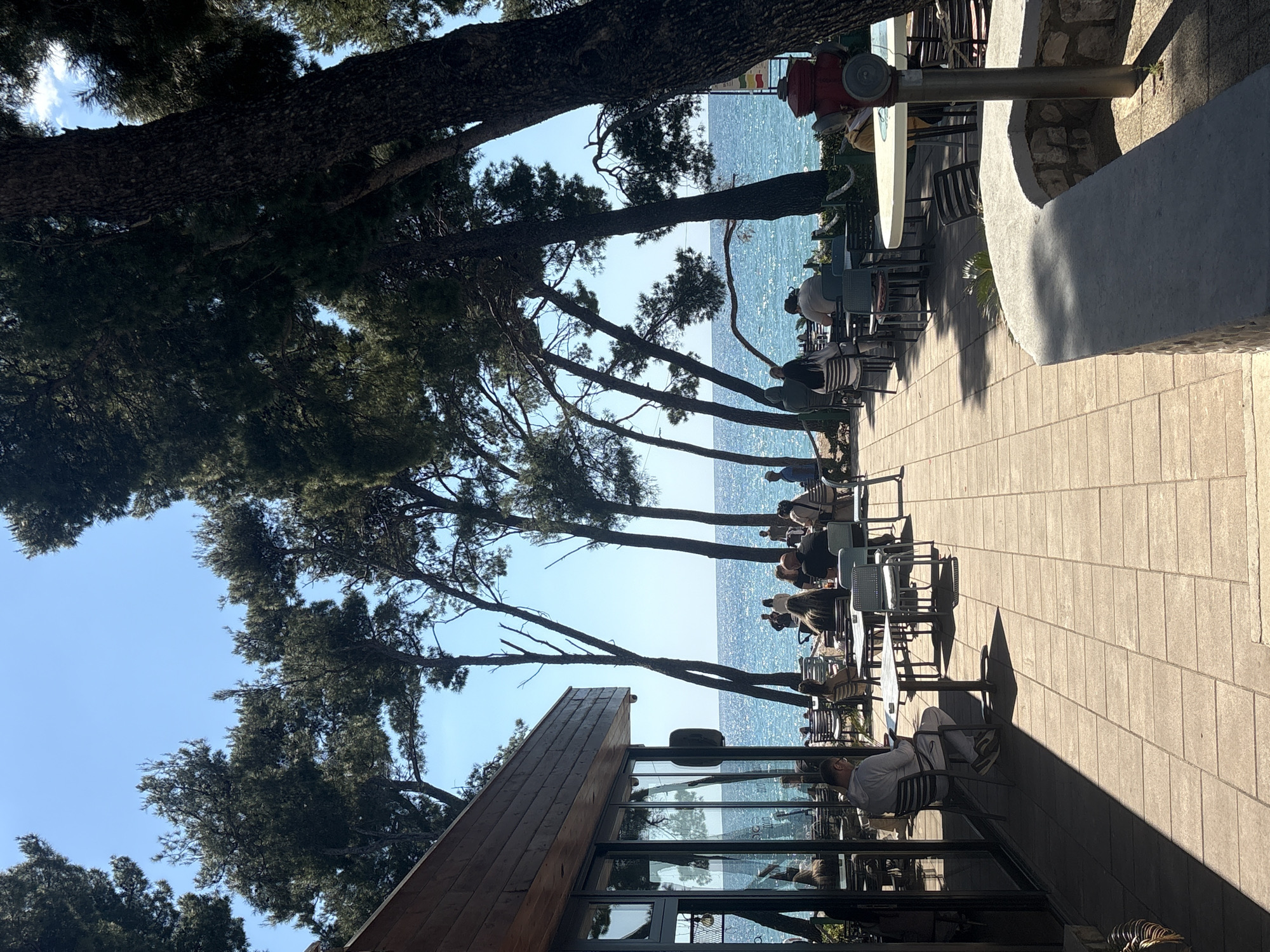 The image captures a view of a seaside cafe in Bar, Montenegro. Several tables and chairs are arranged on a stone-tiled terrace, and people are seated, some facing the sea. The cafe borders the coastline, and the blue water of the Adriatic Sea is visible in the background. Above, mature pine trees provide shade and frame the scene. A building with glass windows and wooden siding is partially visible on the lower-left side of the image. A red fire hydrant stands out amidst the cafe elements on the right. The sky is clear and blue.